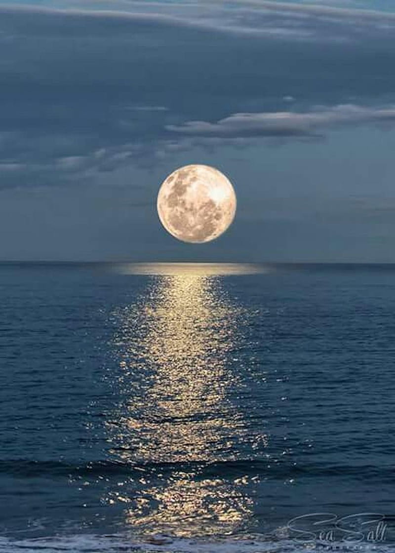 800x1120 Moon and ocean, moonlight, sea, HD
