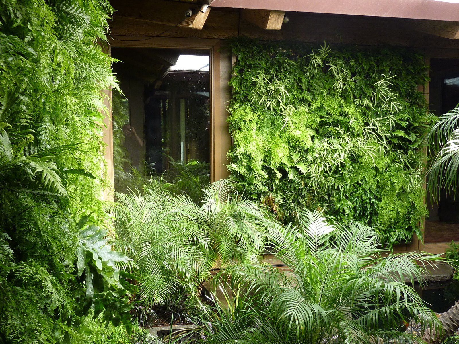 1600x1200 Discover the Benefits of Vertical Gardening