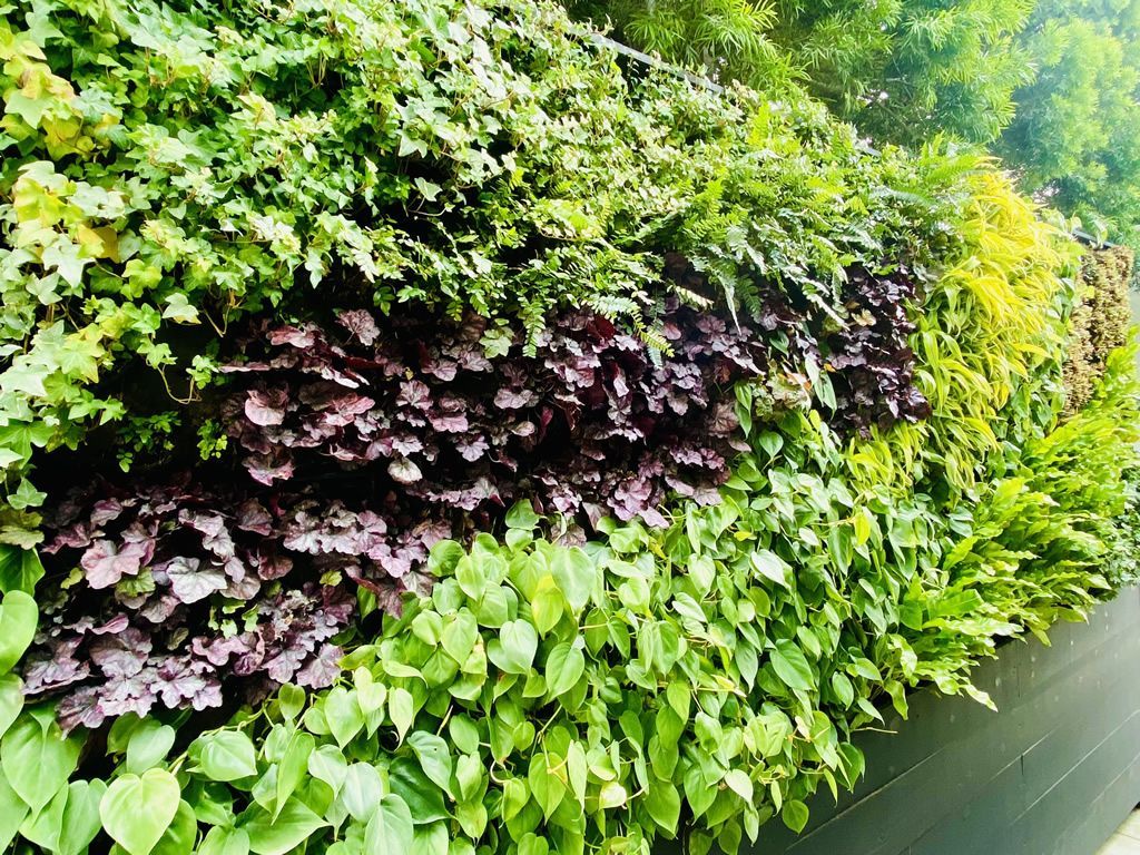 1024x768 Pacific Vertical Gardens Walls