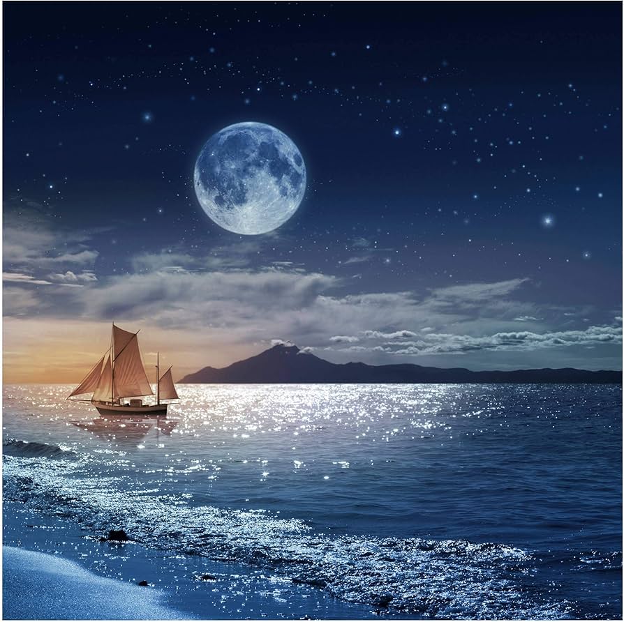 894x892 Non Woven Wallpaper Moon Night Sea