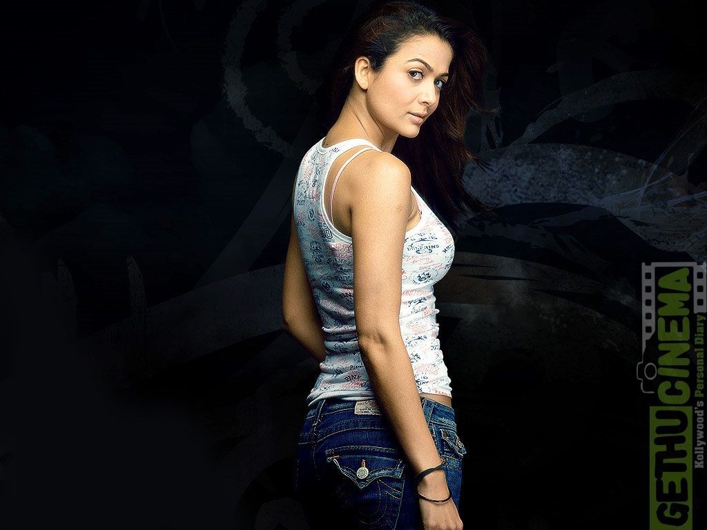 1024x768 Actress Amrita Arora Latest Gallery