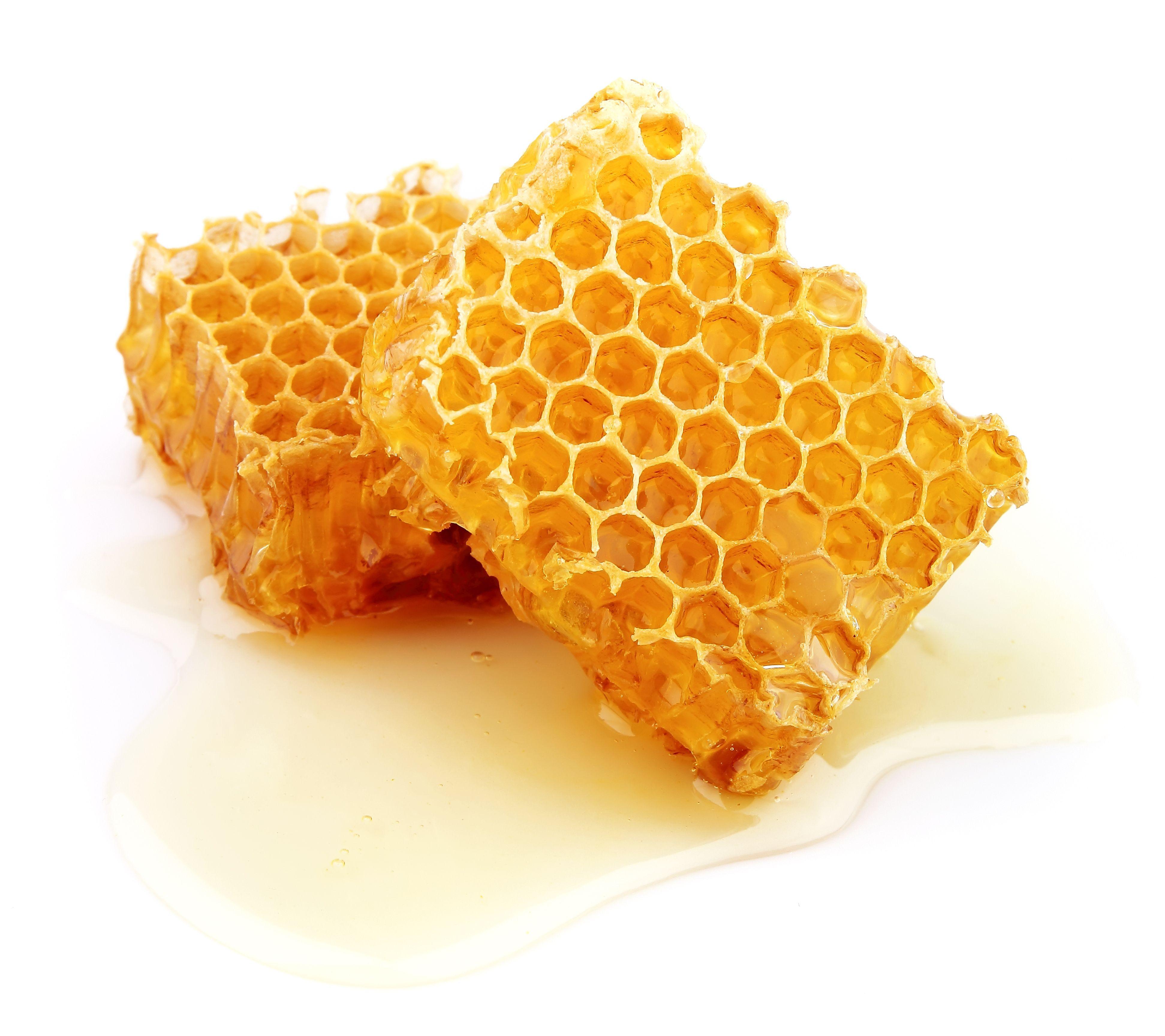 Honey Wallpapers Top Free Honey Backgrounds WallpaperAccess