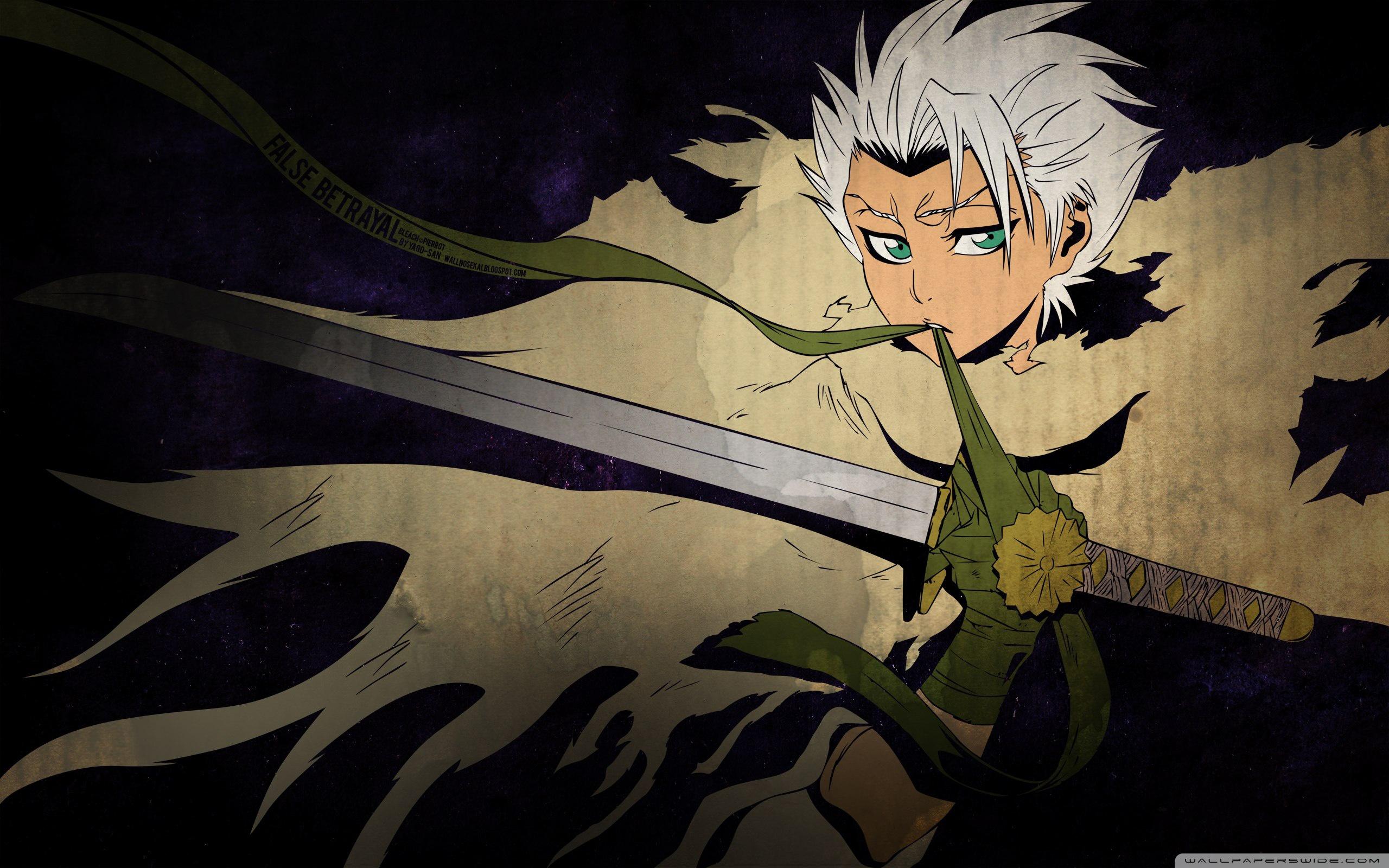 2560x1600 Toshiro Hitsugaya Ultra HD Desktop Background Wallpaper for 4K UHD TV : Tablet