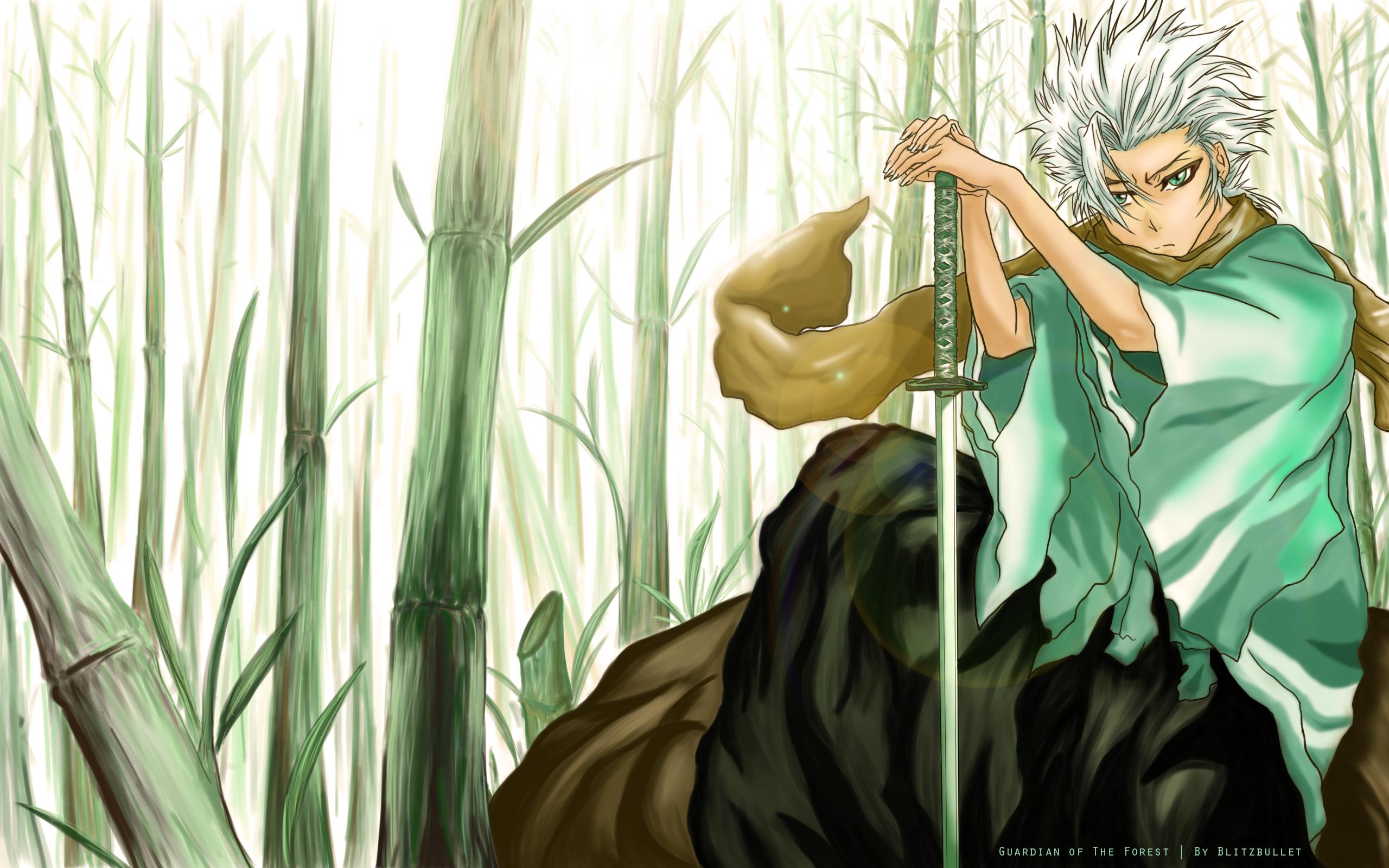 2560x1600 Toshiro*** Hitsugaya fangirls <3 Wallpaper