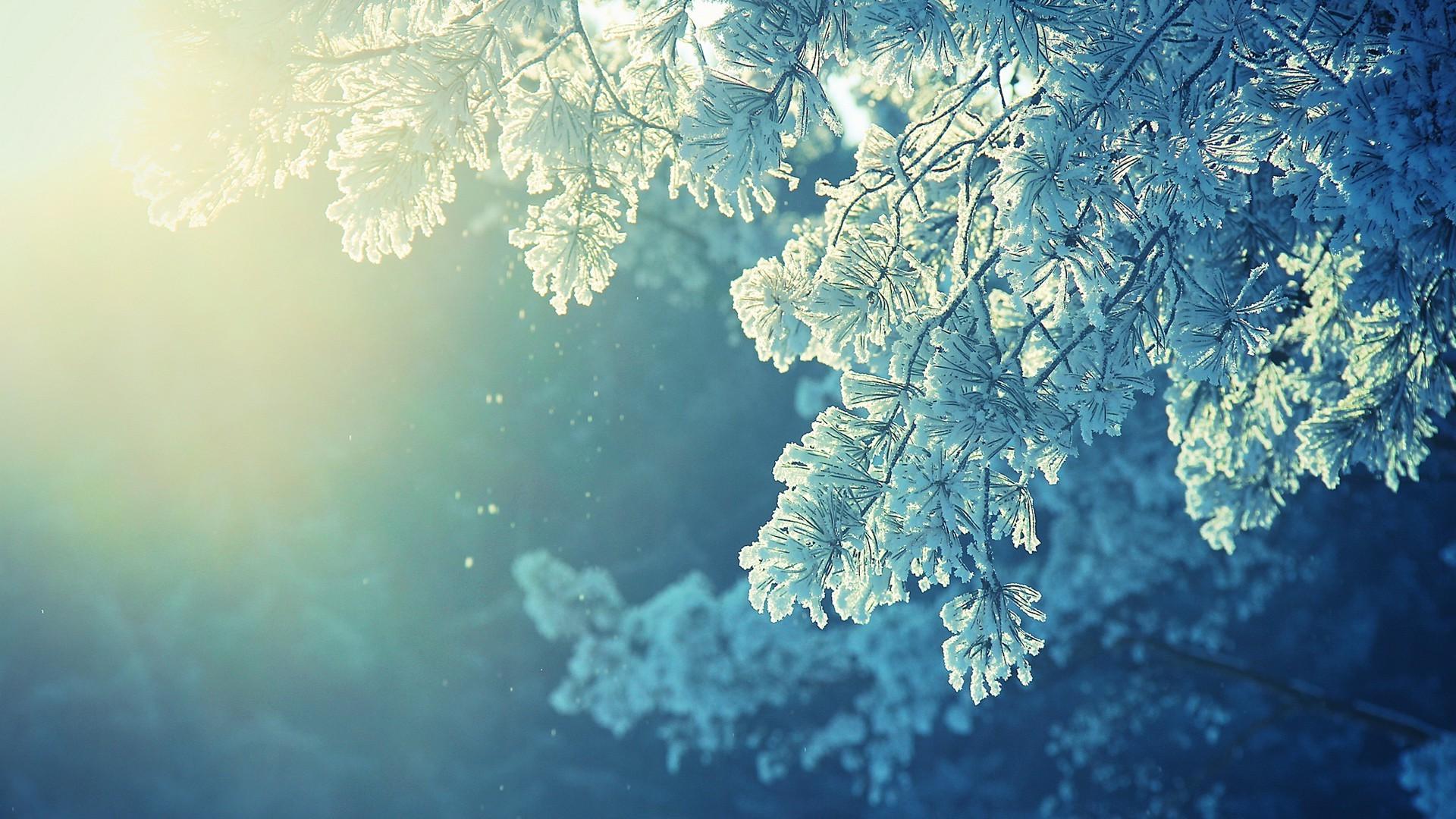 1920x1080 Anime Winter Wallpaper 42567