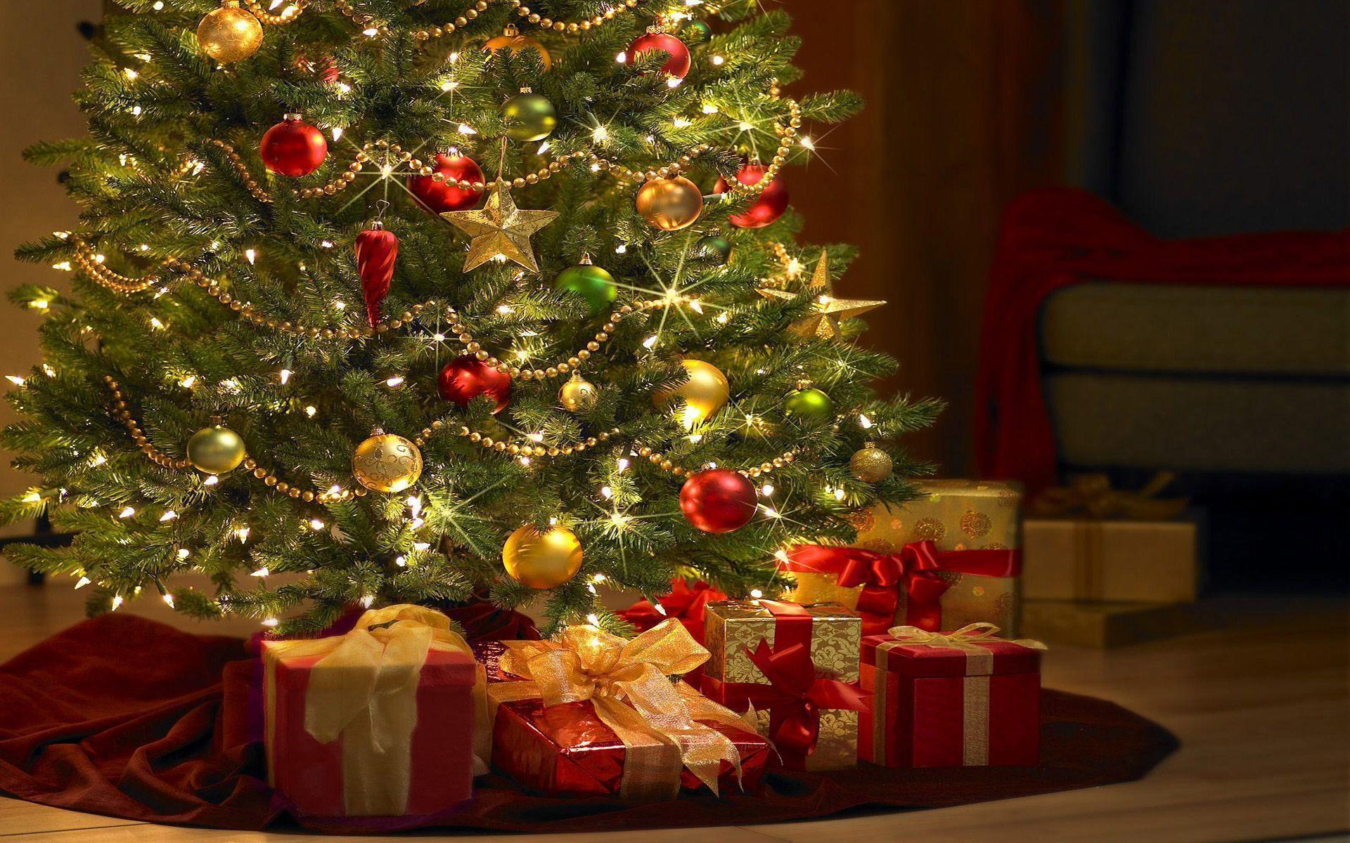 1920x1200 Christmas Tree Wallpaper Background