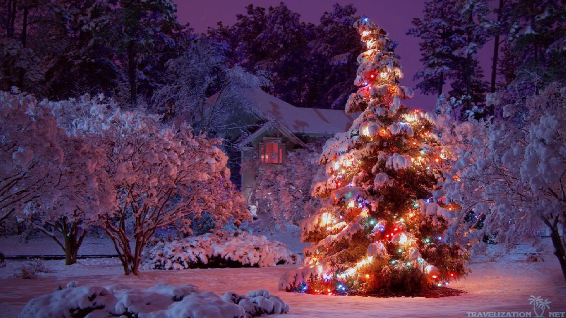 1920x1080 Christmas Lights and Snow Landscape Wallpaper