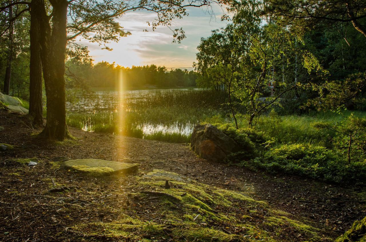 1280x847 Forest Sunset, Gothenburg, Sweden [OC][4928x3264] Uber