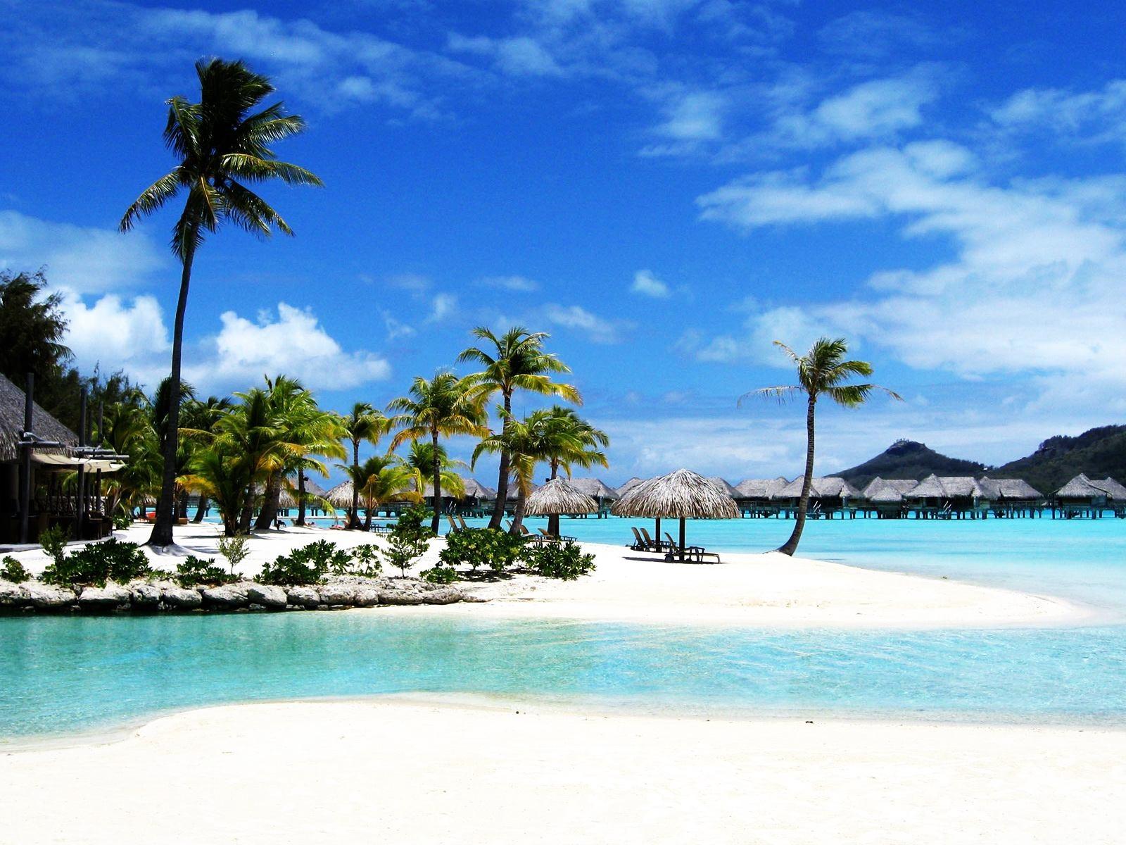 1600x1200 Download wallpaper 1600x1200 bora bora, island, palm trees
