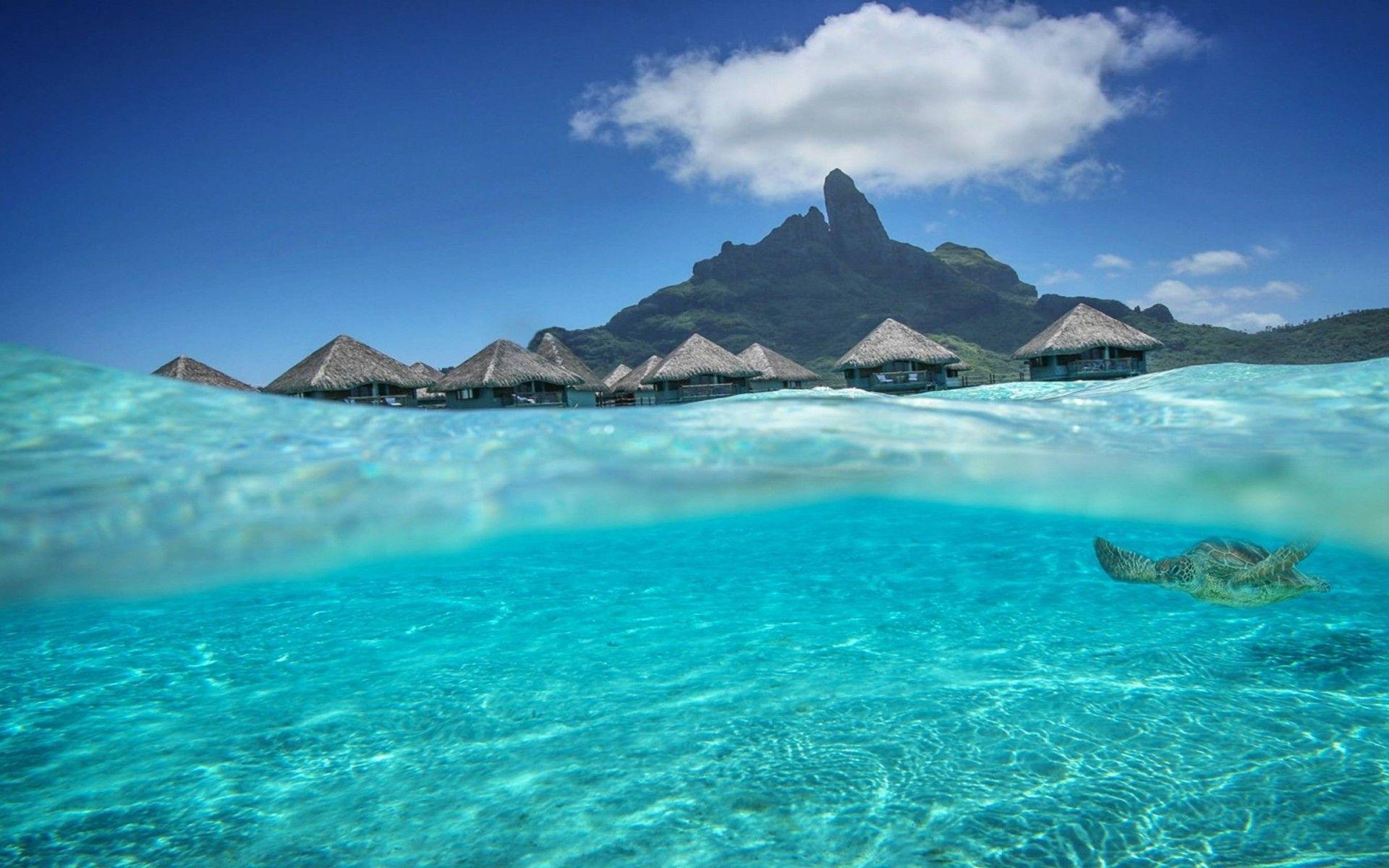 1920x1200 Tahiti Desktop Wallpaper