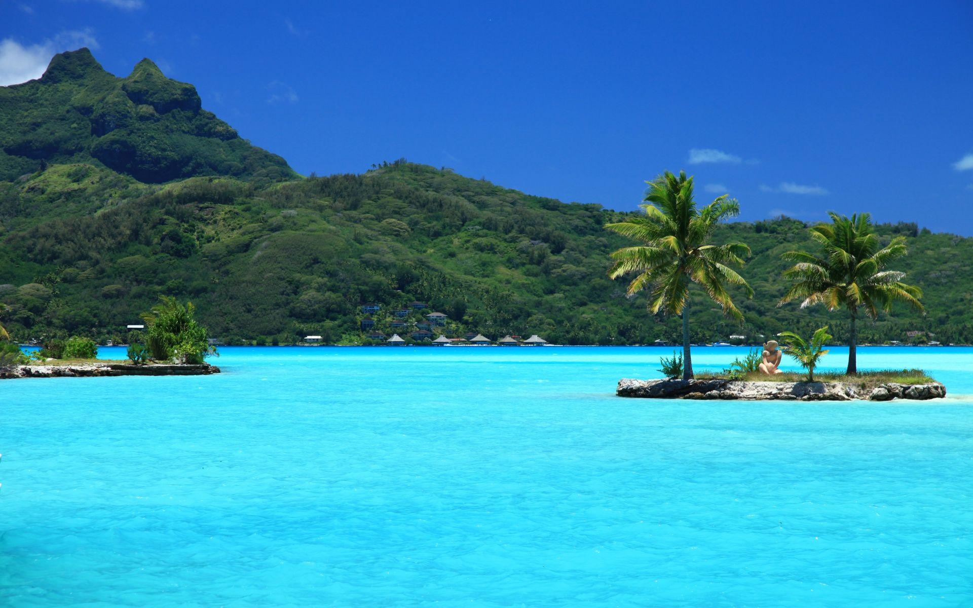 1920x1200 Wallpaper tropical, island, palm trees. Tropical