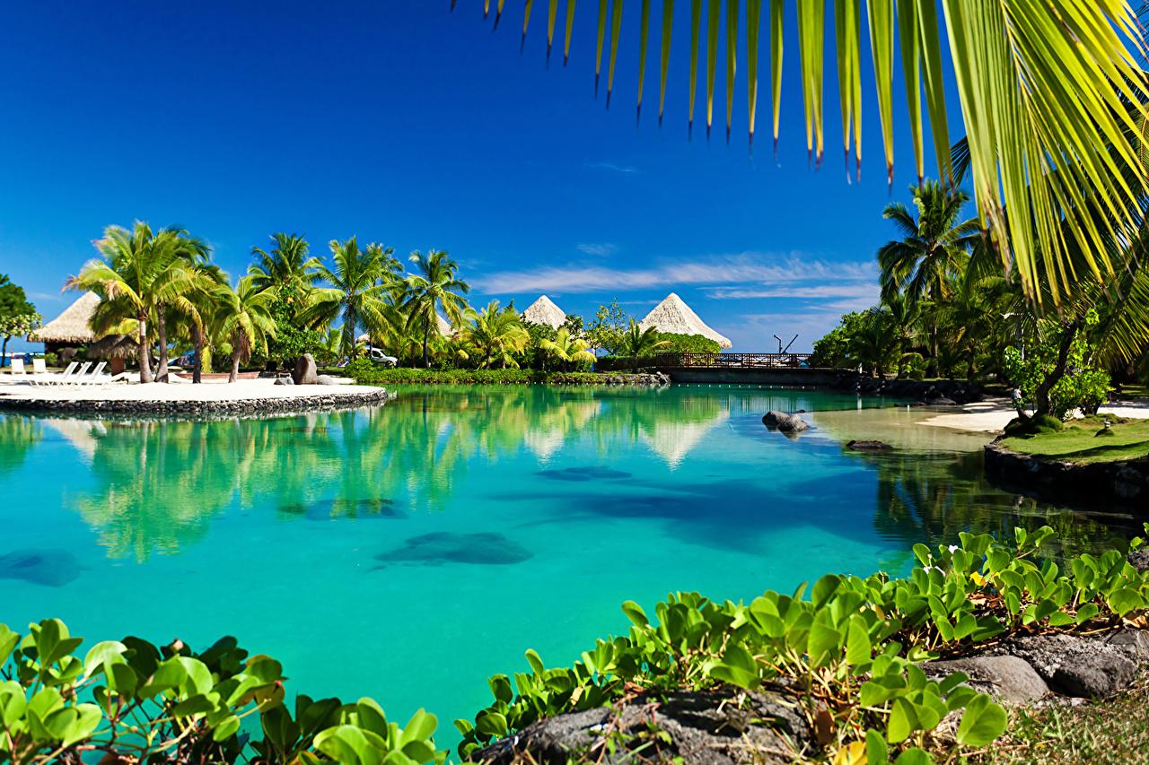 1280x853 Wallpaper Bora Bora French Polynesia Bungalow Nature Tropics