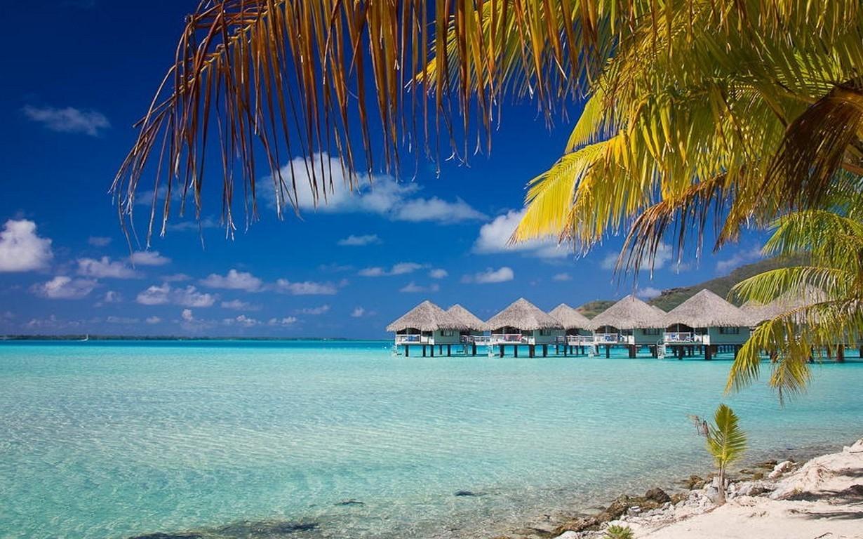 1230x768 nature beach bora bora summer landscape sea tropical