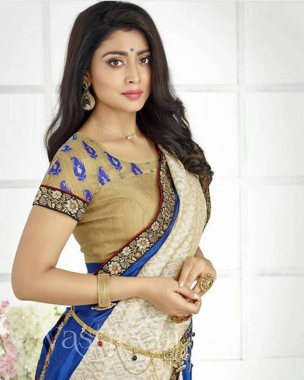 1024x1280 Shreya Saran Wallpaper