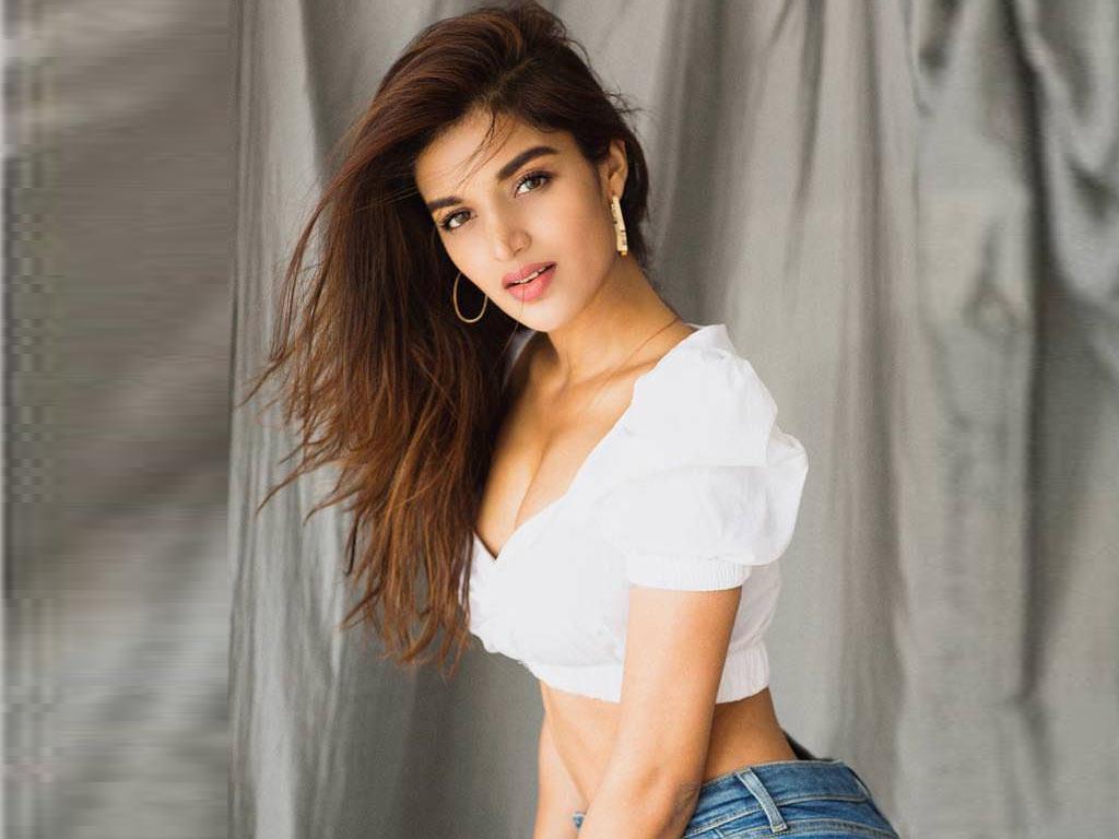 1024x768 Nidhhi Agerwal HD Wallpaper. Latest Nidhhi Agerwal