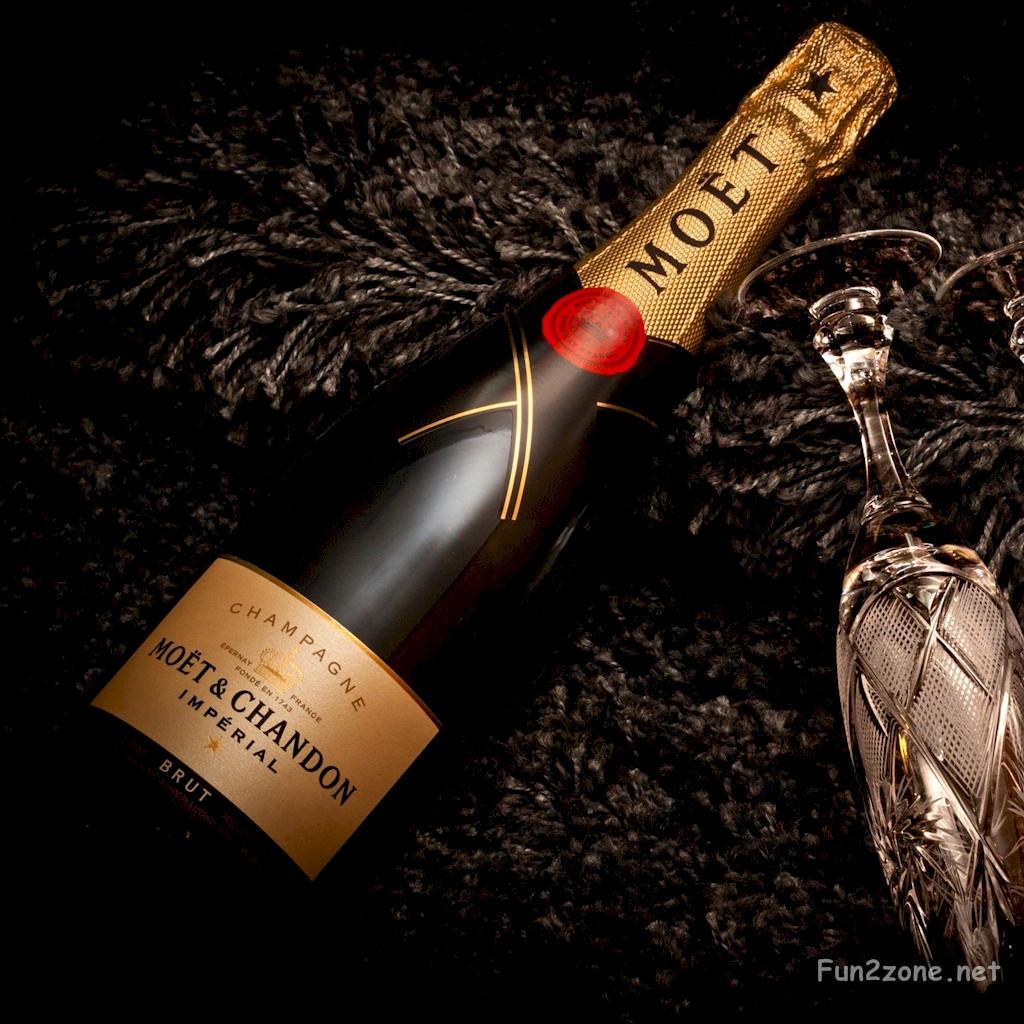 1024x1024 Fun zone: Latest Champagne HD Wallpaper