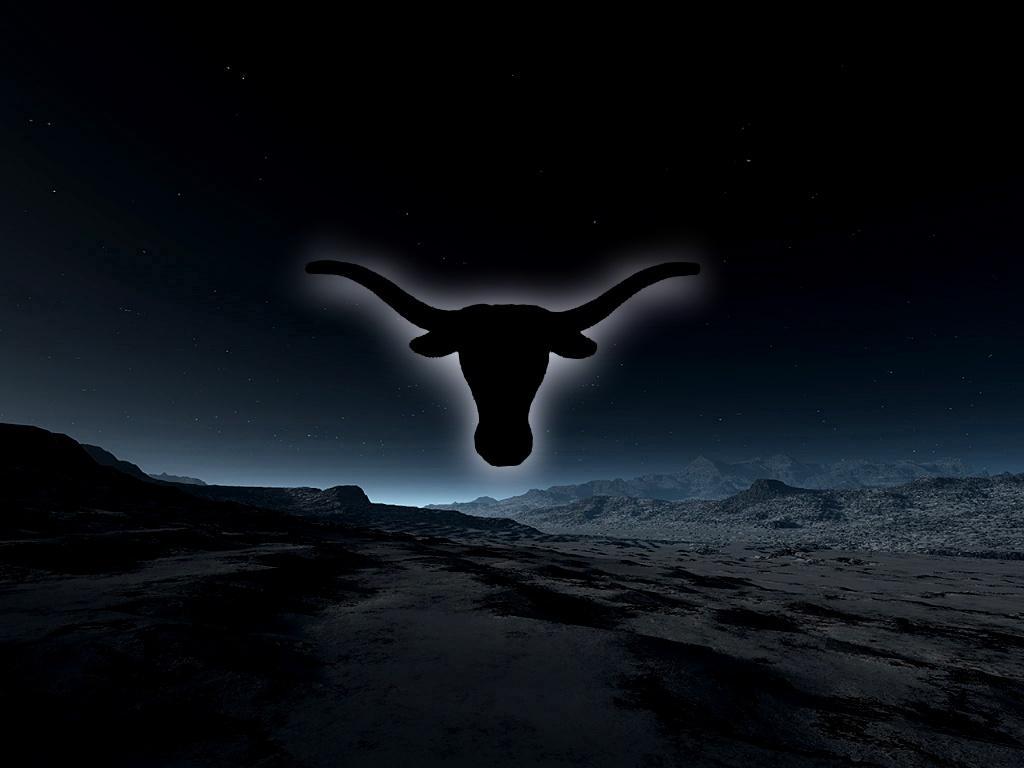 1024x768 Longhorn wallpaper