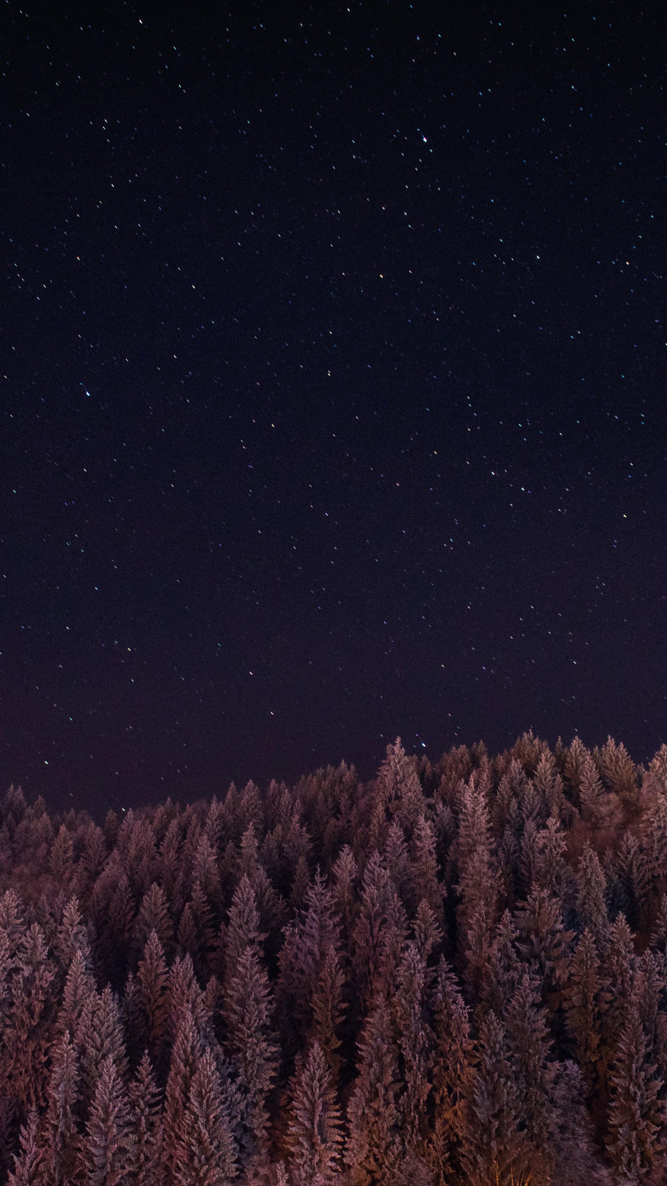 2160x3840 Stars Trees Night Dark Sky Ym Wallpaper - [2160x3840]