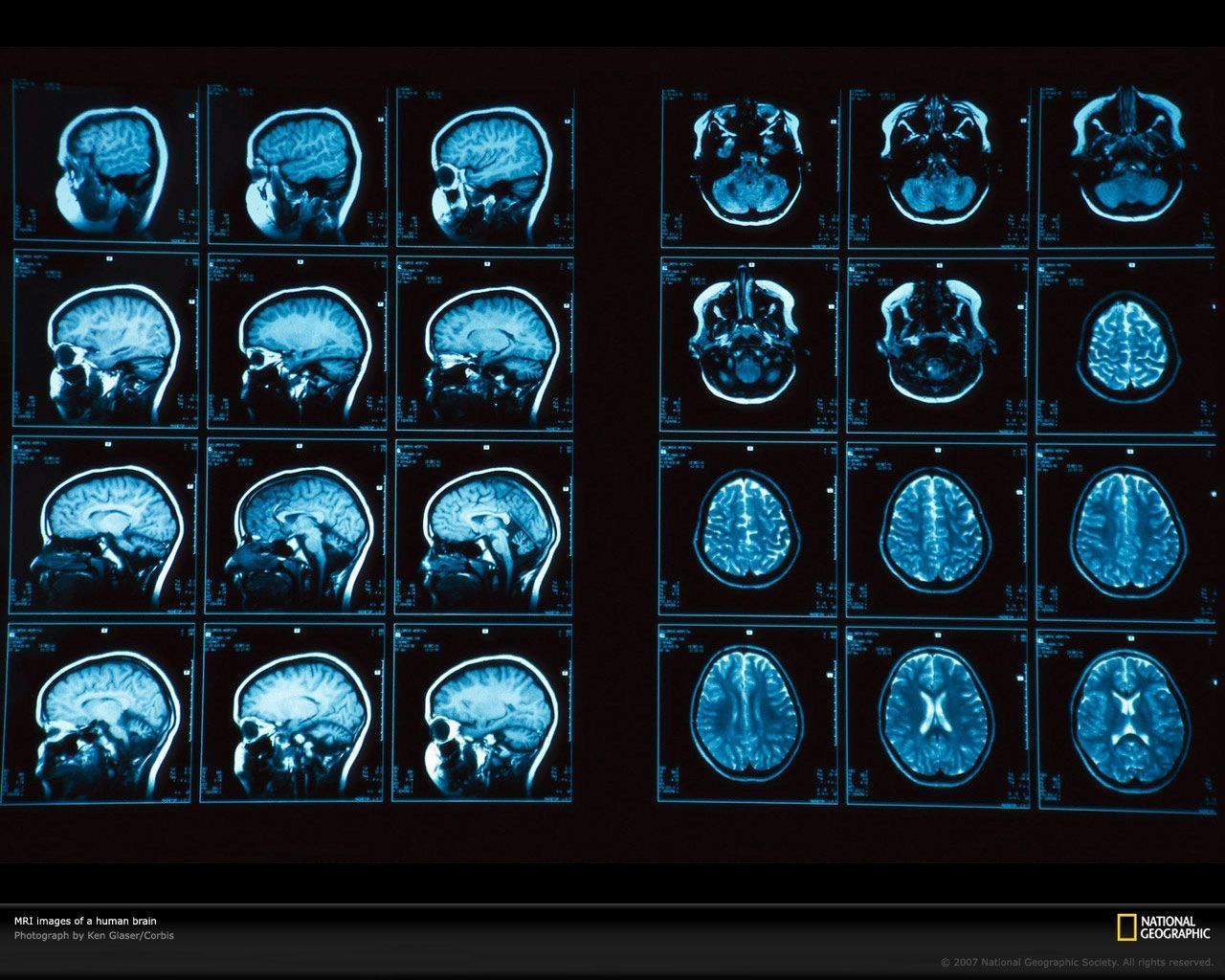 1280x1024 MRI to understand how we shop