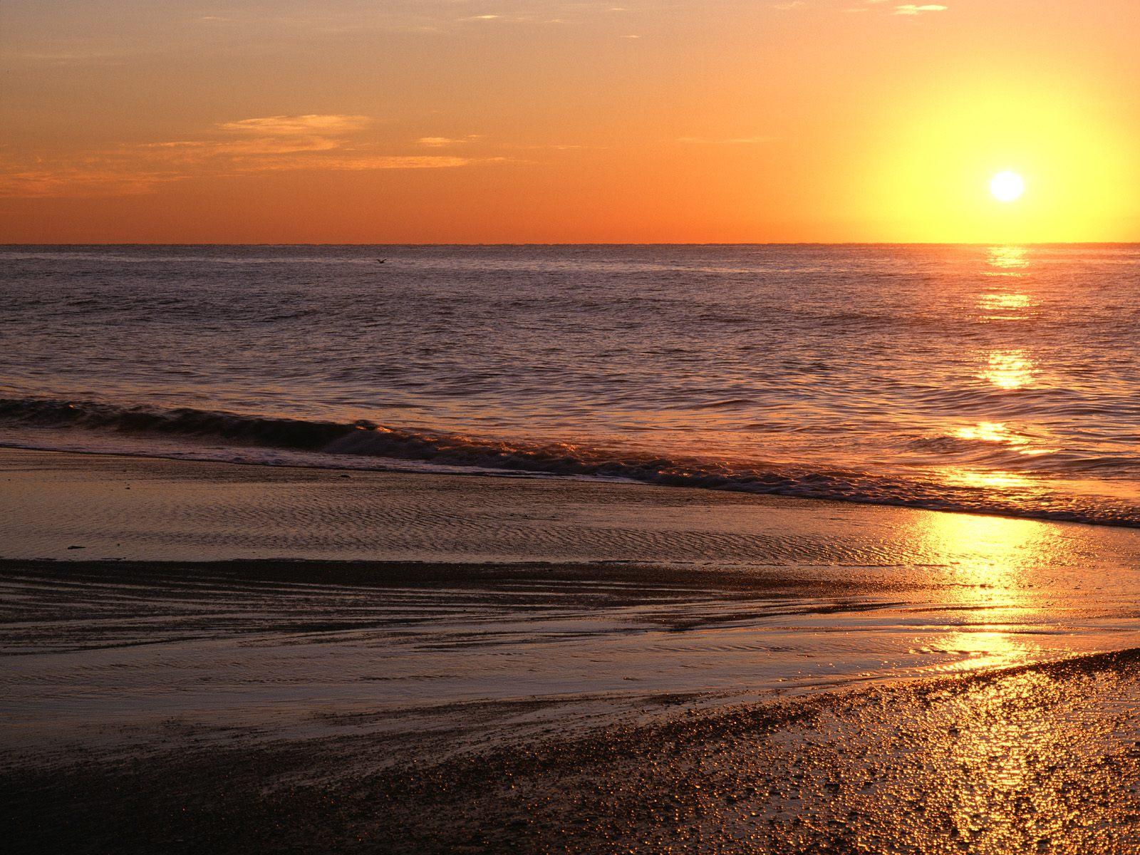 1600x1200 Myrtle Beach