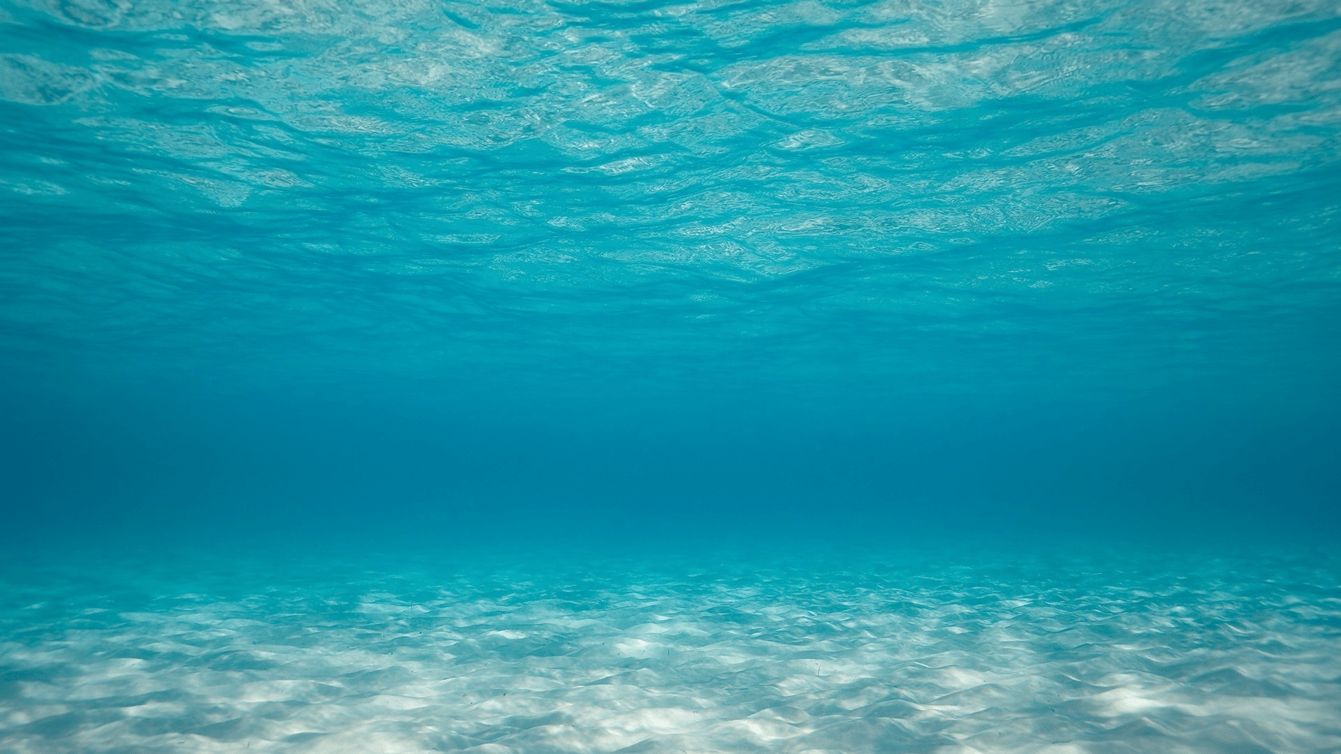 Deep Ocean Wallpapers - Top Free Deep Ocean Backgrounds - WallpaperAccess