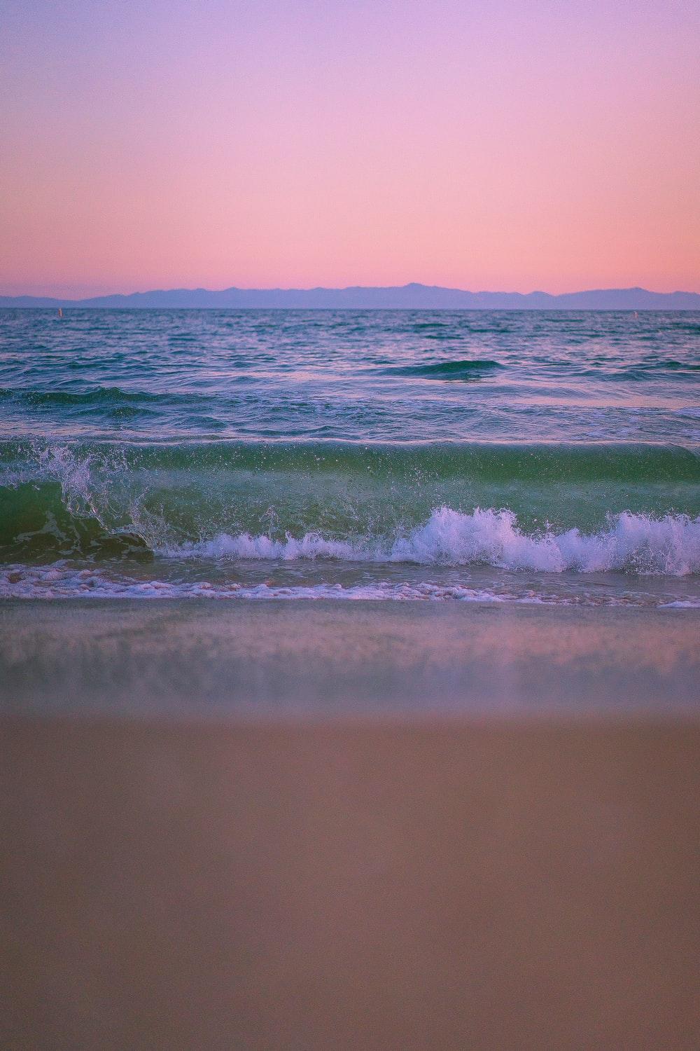 1000x1500 Butterfly Beach Picture. Download Free Image