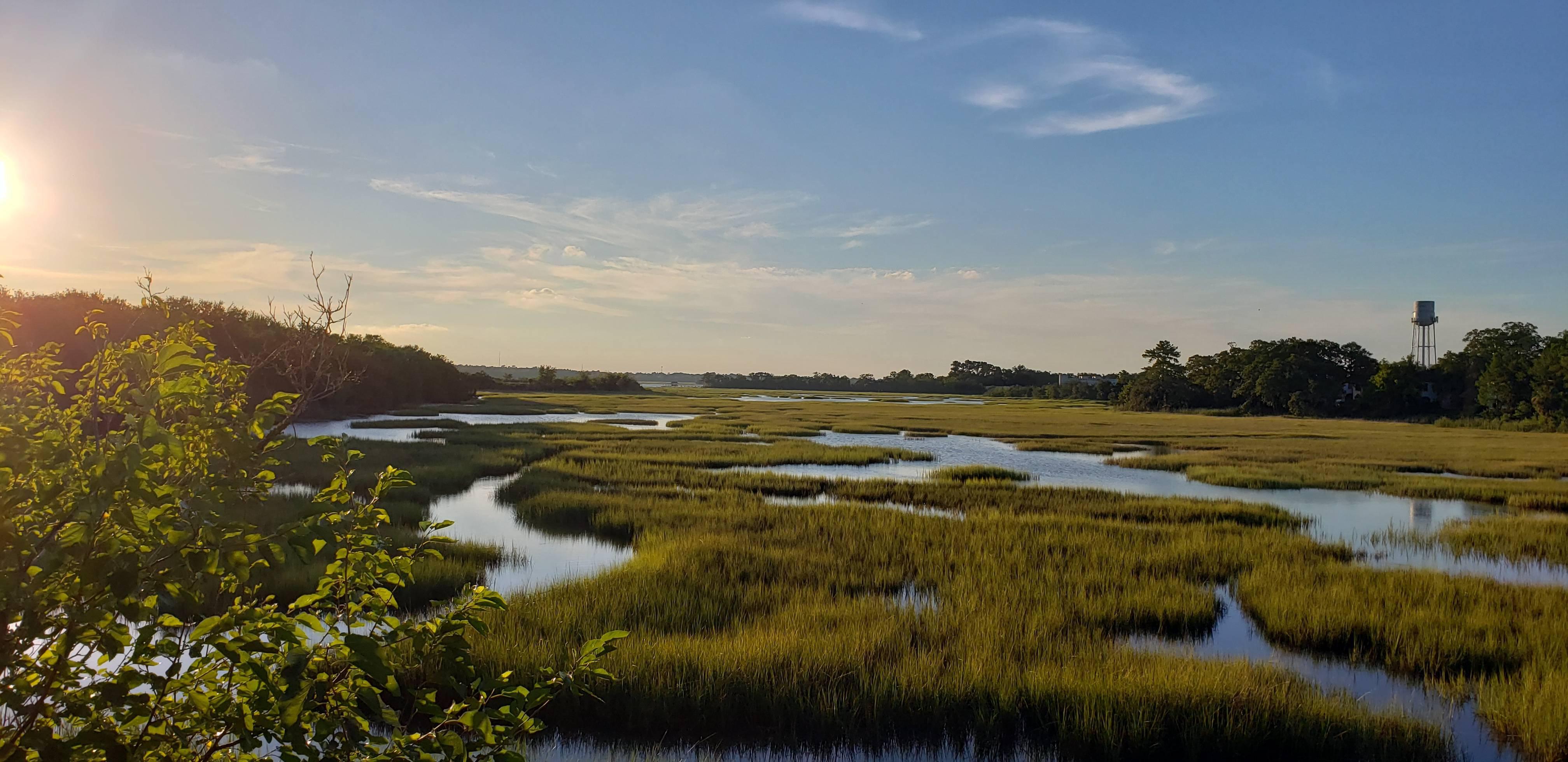 4032x1960 marsh 4K wallpaper for your desktop or mobile screen free