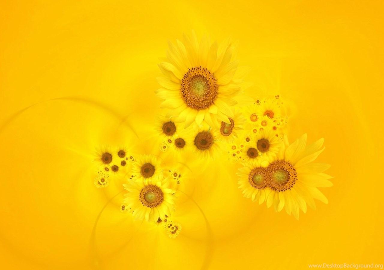 1280x900 Gallery For Bright Yellow Wallpaper Desktop Background