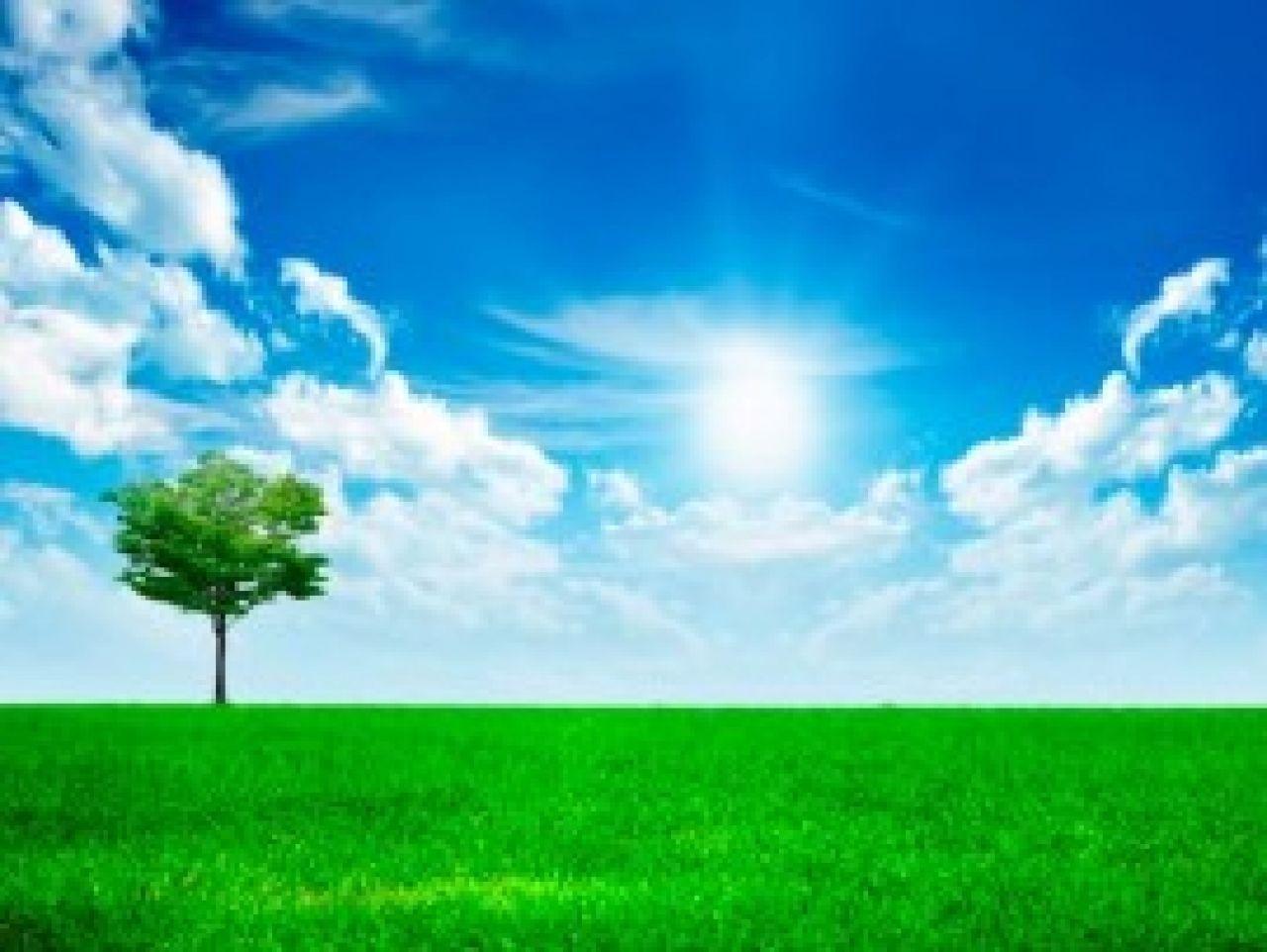 1280x962 Full Size HD Wallpaper For PC