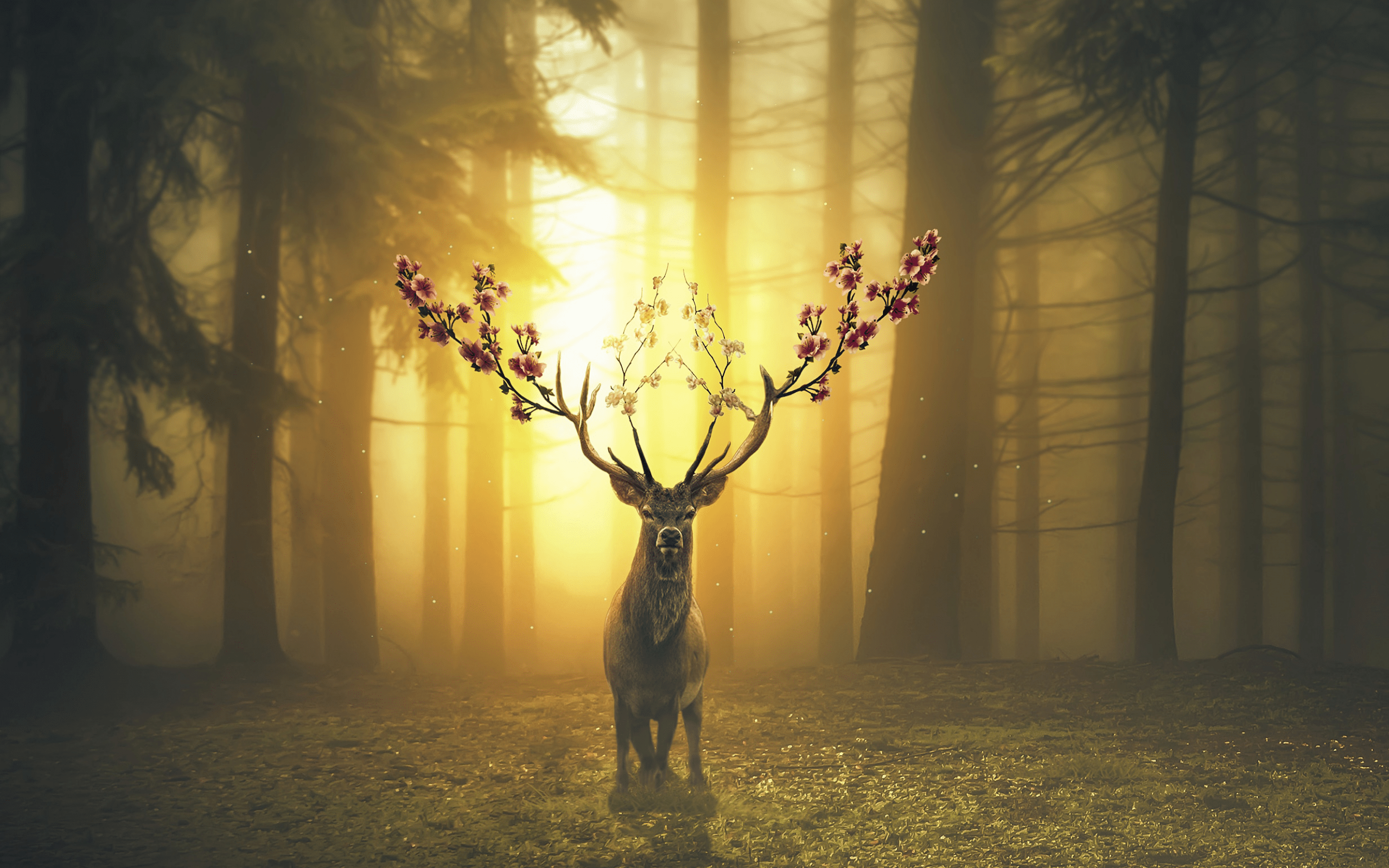 2560x1600 Download 2560x1600 Deer, Flowers, Horns, Forest, Autumn