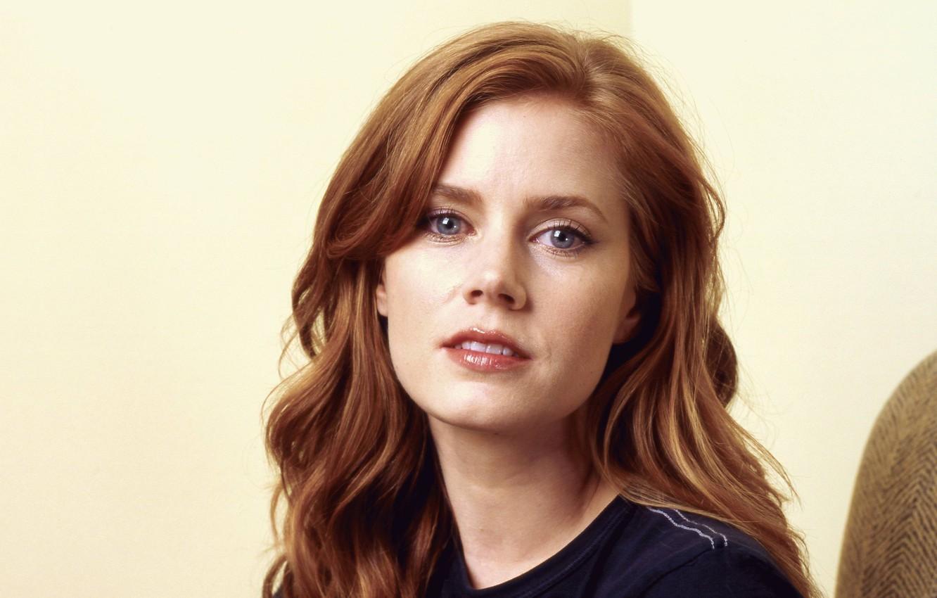 1332x850 Wallpaper girl, actress, beautiful, beautiful, Amy Adams