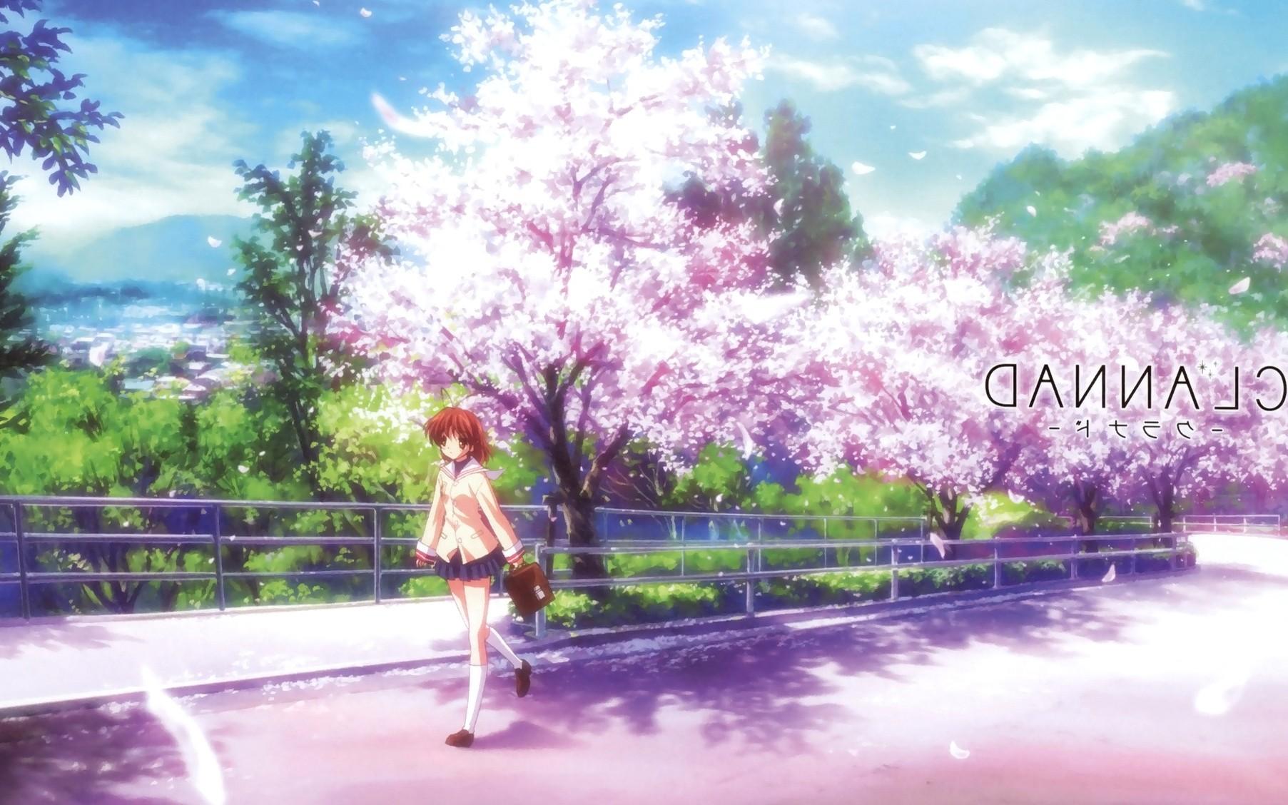 1805x1128 Download Wallpaper Clannad After Story HD Untuk Desktop/PC