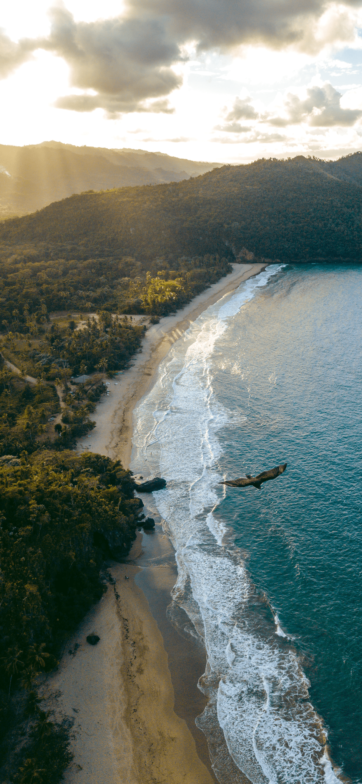 1242x2688 Dominican Republic Wallpaper for iPhone X, 6