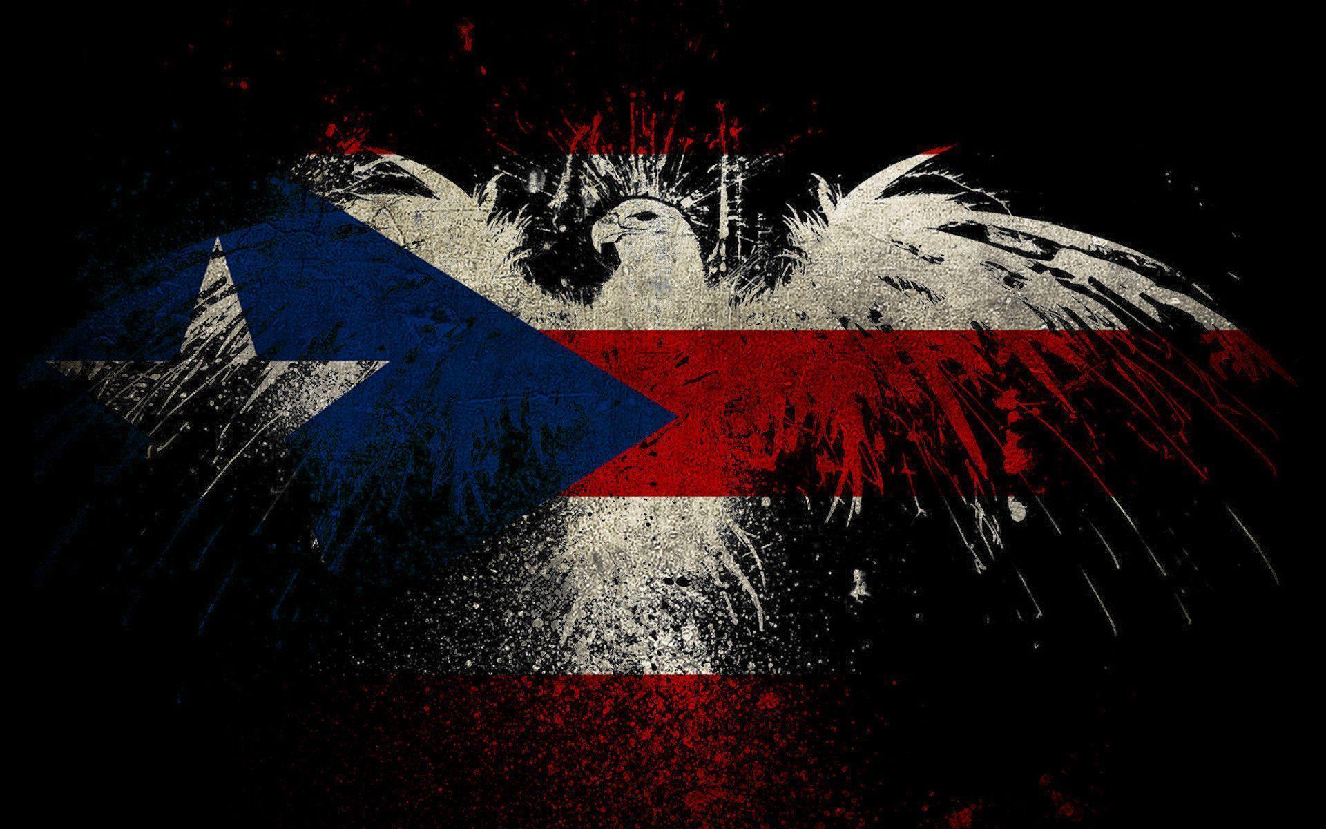 Puerto Rico Puerto Rican HD phone wallpaper  Pxfuel