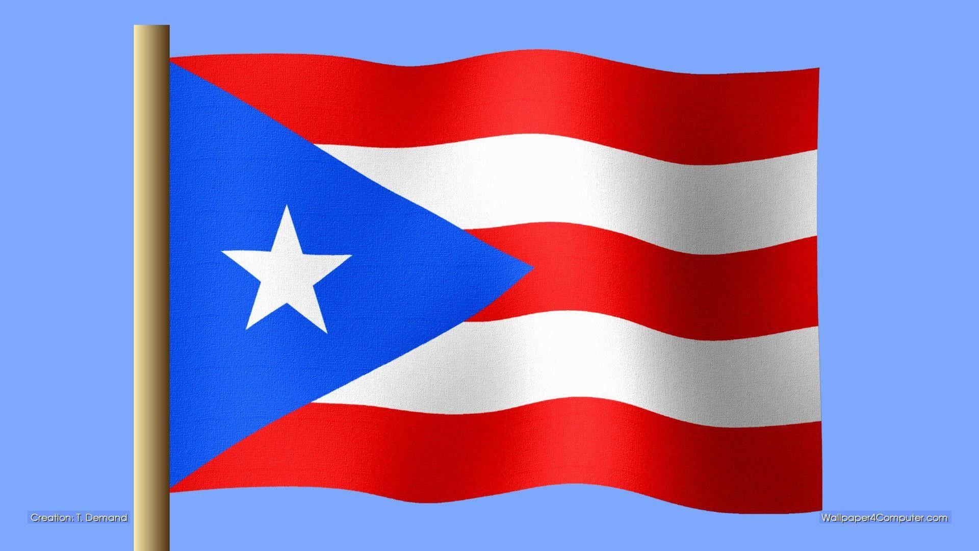 2029 Puerto Rico Flag Stock Photos  Free  RoyaltyFree Stock Photos from  Dreamstime