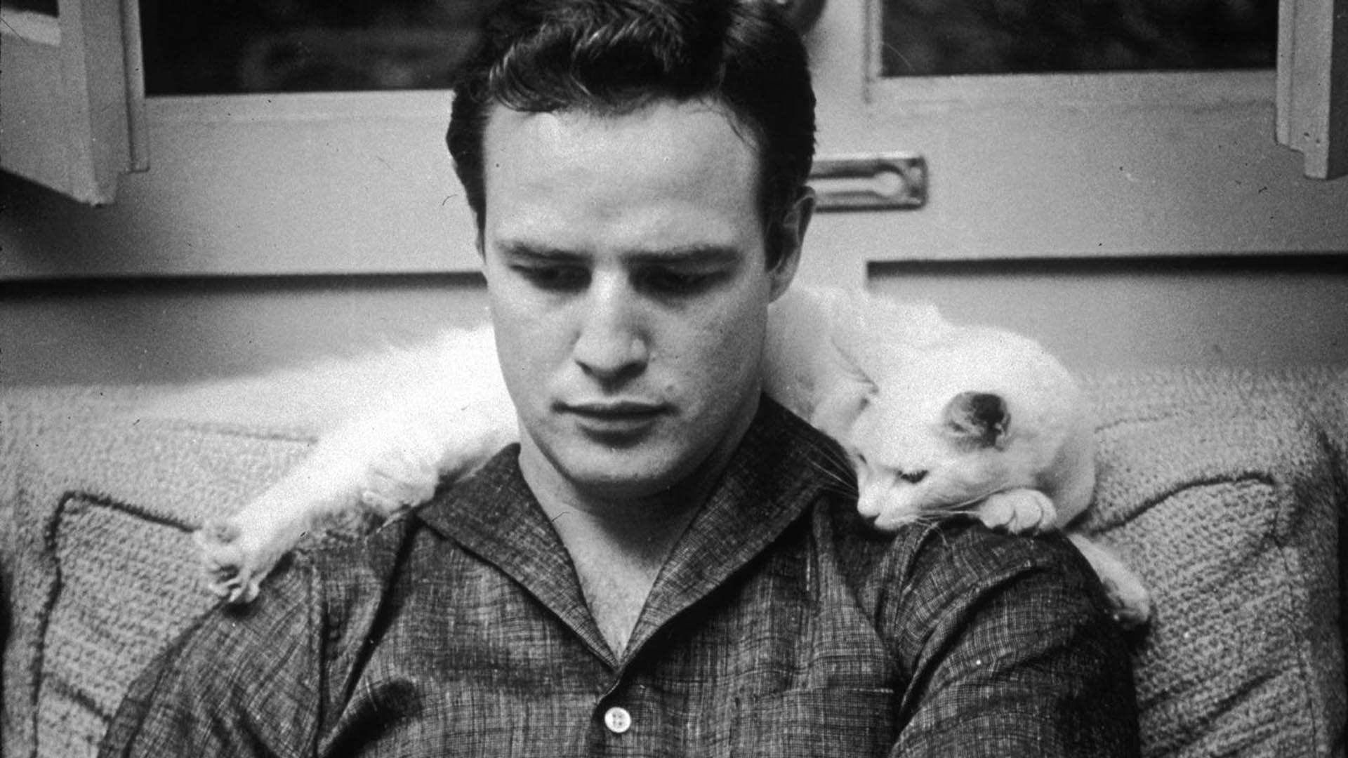 1920x1080 brando image. Marlon Brando Image 1920x1080 Wallpaper