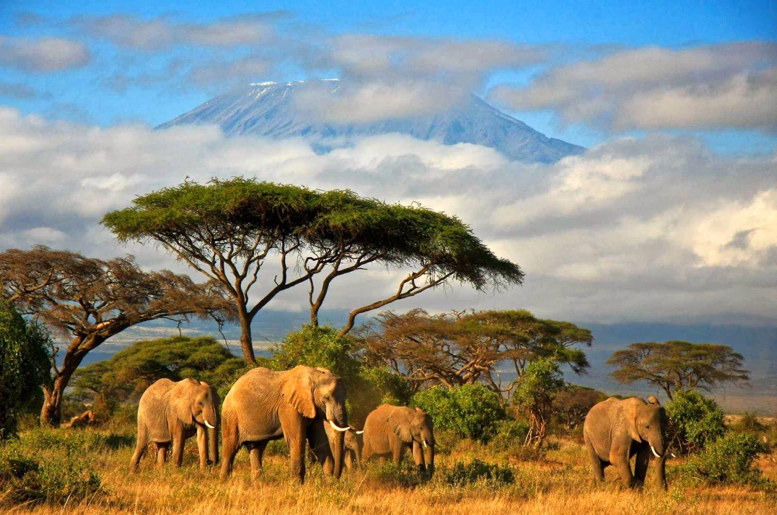1600x1061 Tanzania Wallpaper