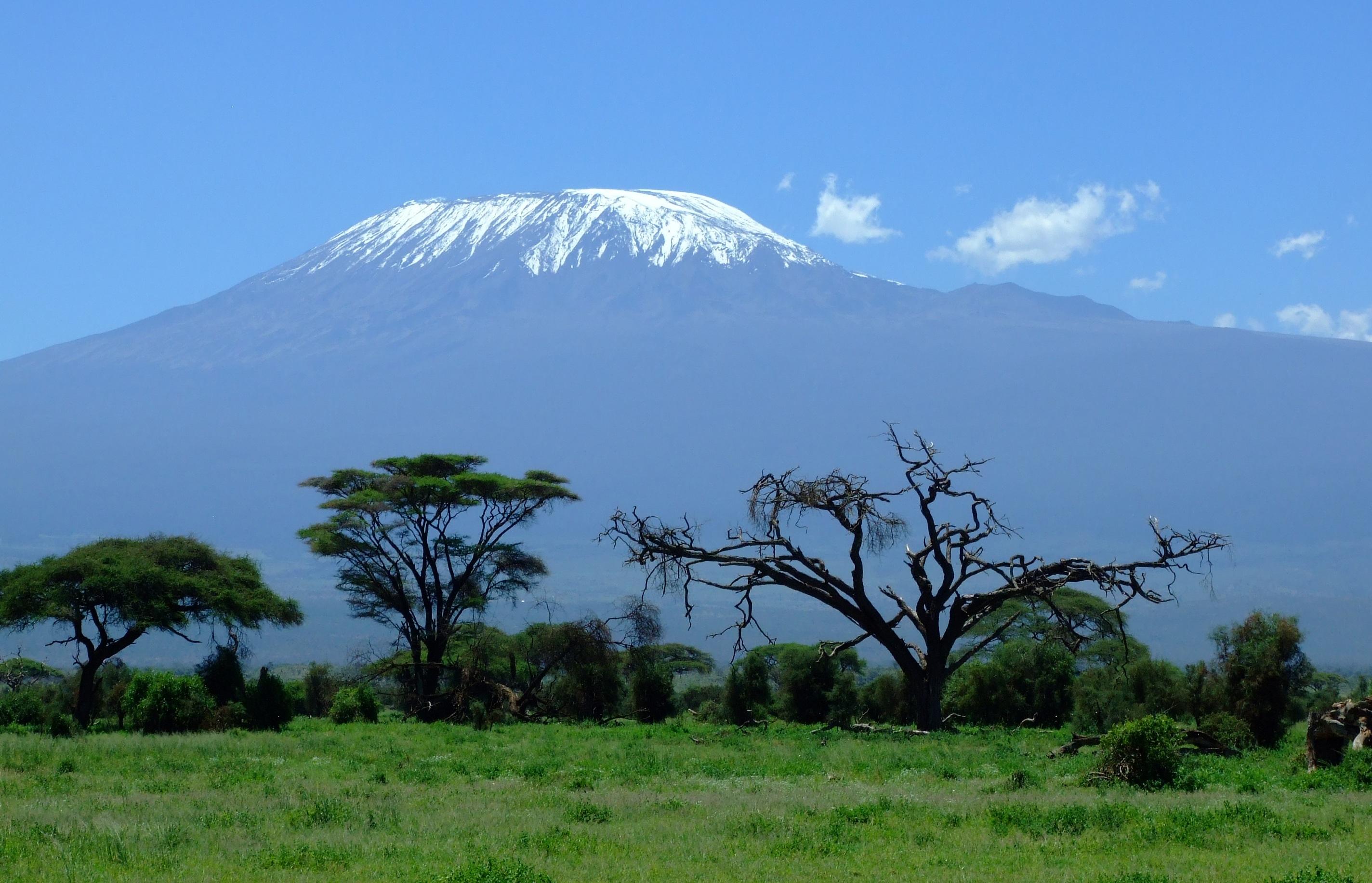 2848x1832 Download Landscape Africa Tree Nature