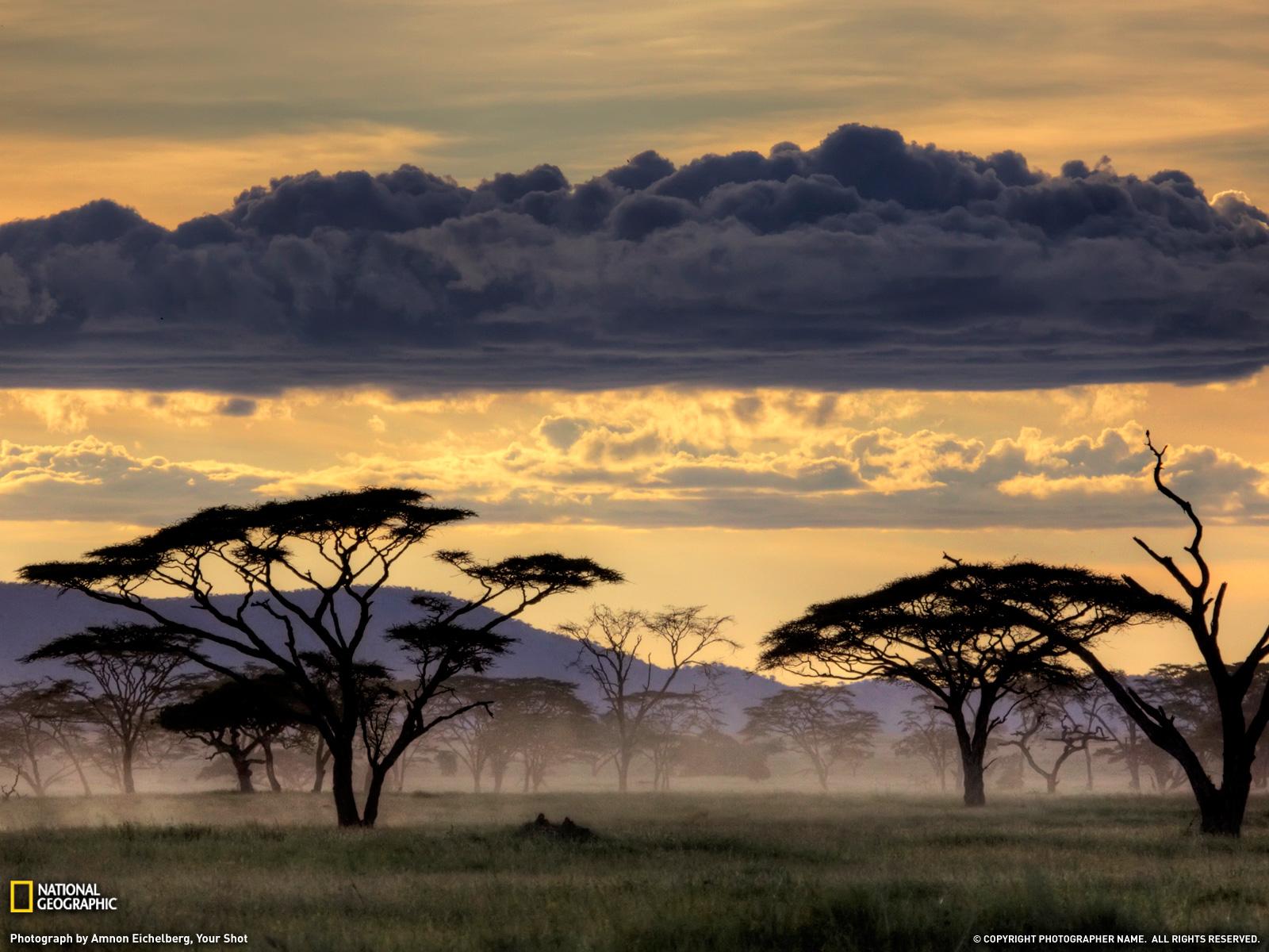 1600x1200 Serengeti Wallpaper. Serengeti