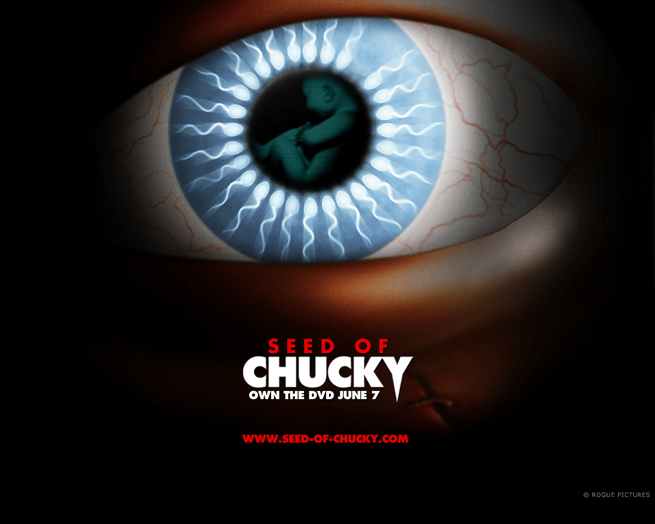1280x1024 Chucky An Tiffany's Play Wallpaper