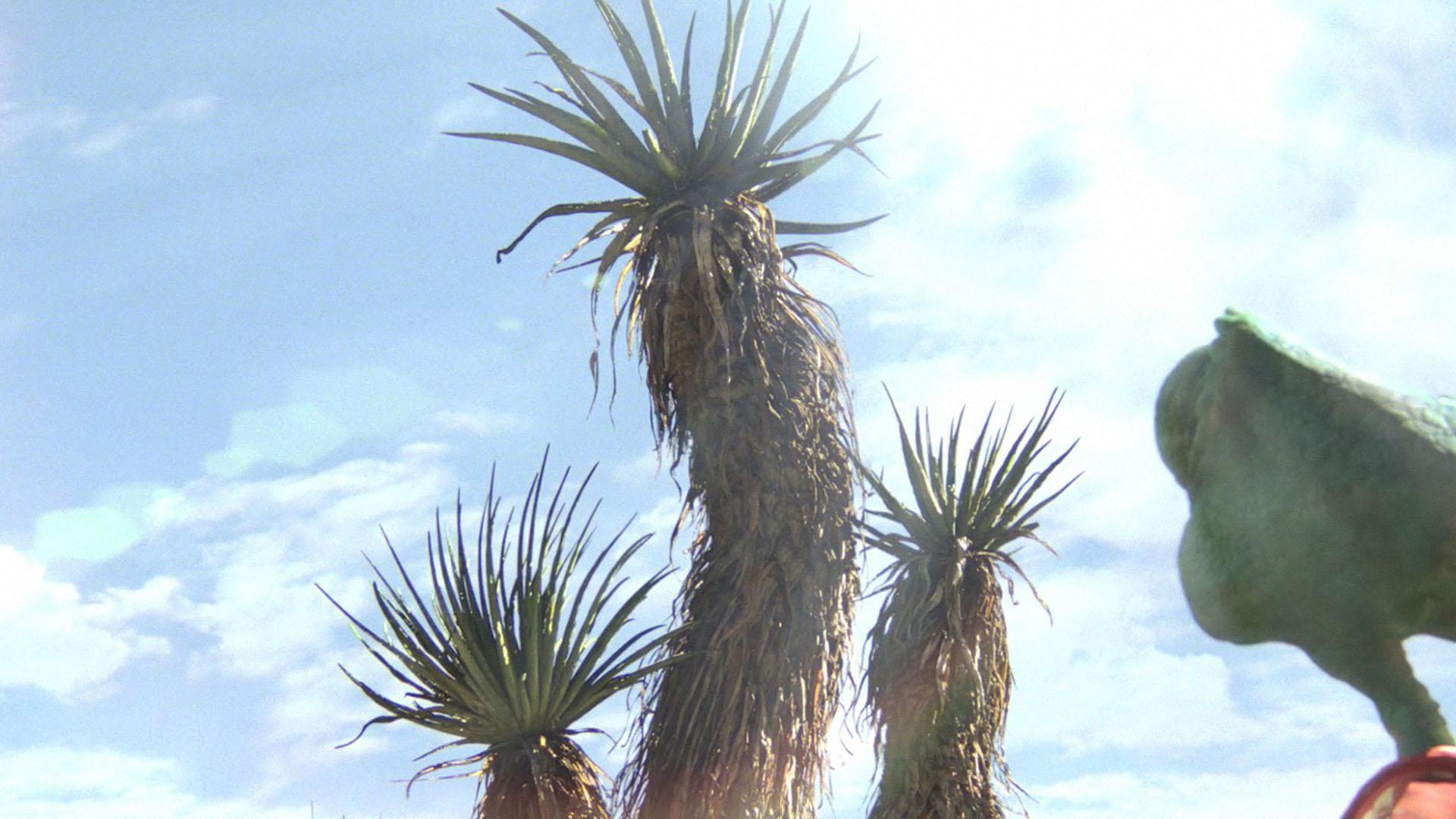 Rango Wallpapers Top Free Rango Backgrounds WallpaperAccess