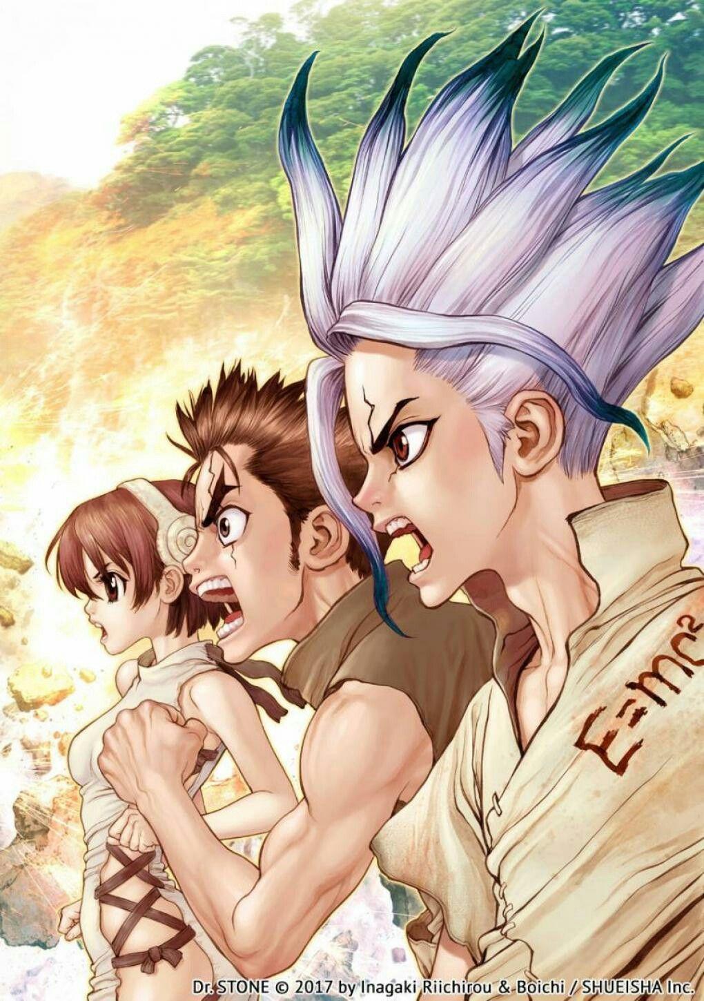 1020x1450 Dr. STONE. Senku Ishigami, Taiju Oki and Yuzuriha Ogawa. Anime, Stone wallpaper, Stone world