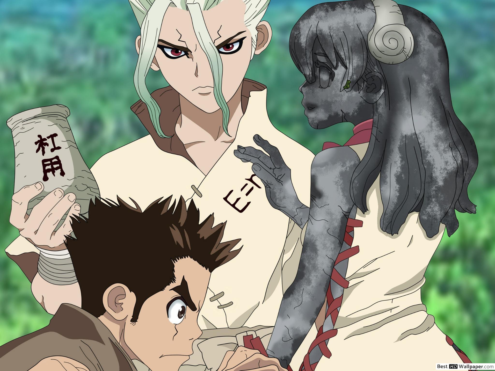 2048x1536 Dr. Stone Ishigami, Taiju Oki & Yuzuriha Ogawa HD