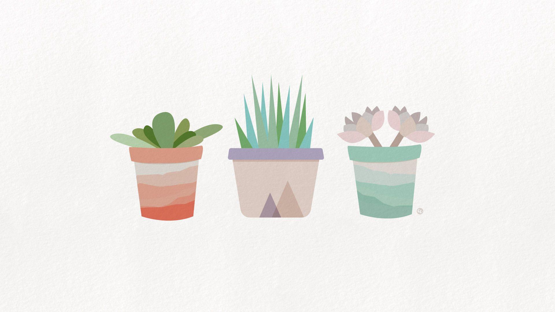 1920x1080 Cute Succulent Wallpaper