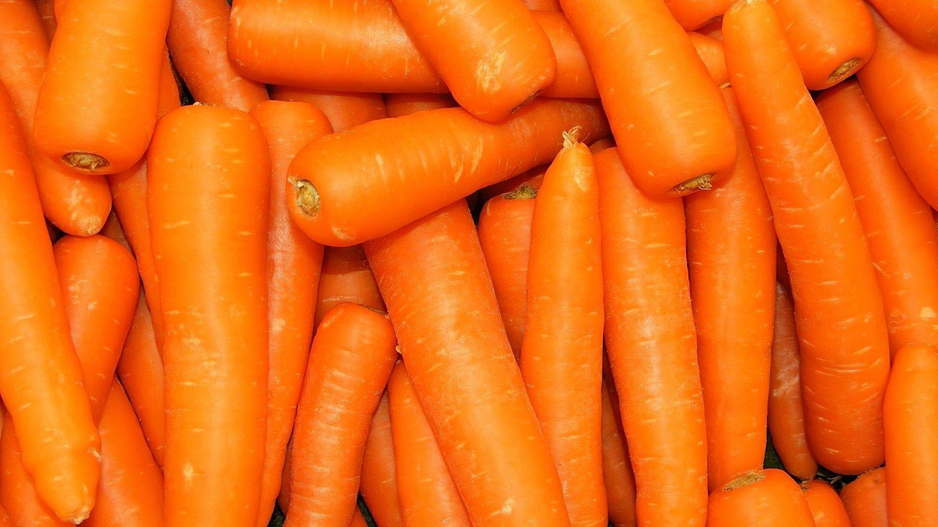 Carrot Wallpapers - Top Free Carrot Backgrounds - WallpaperAccess