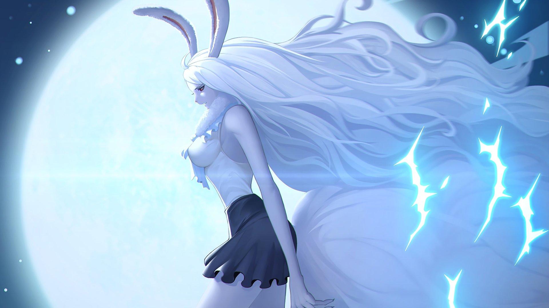 1920x1080 Carrot (One Piece) HD Wallpaper and Background Image