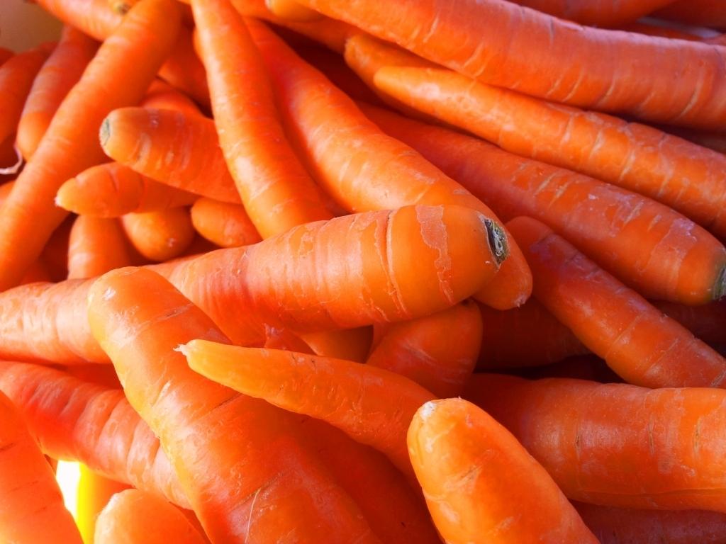 Orange carrot. Морковь. Оранжевая морковь. Голубая морковь. Морковь Эстетика.