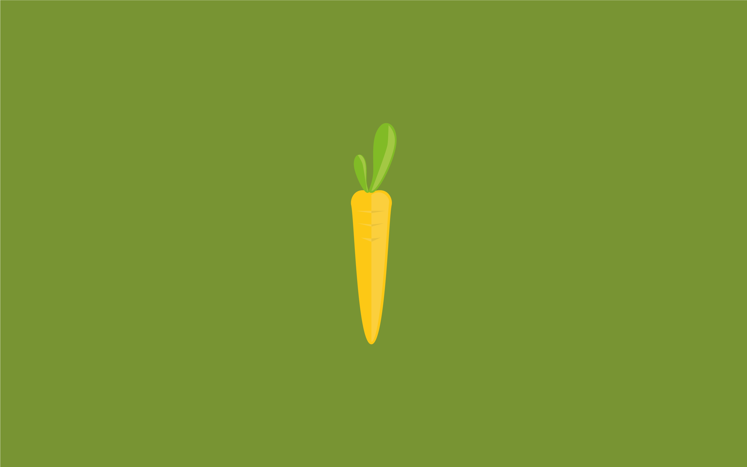 2560x1600 rabbit rabbit carrot carrot. Minimal Art. Graphic design