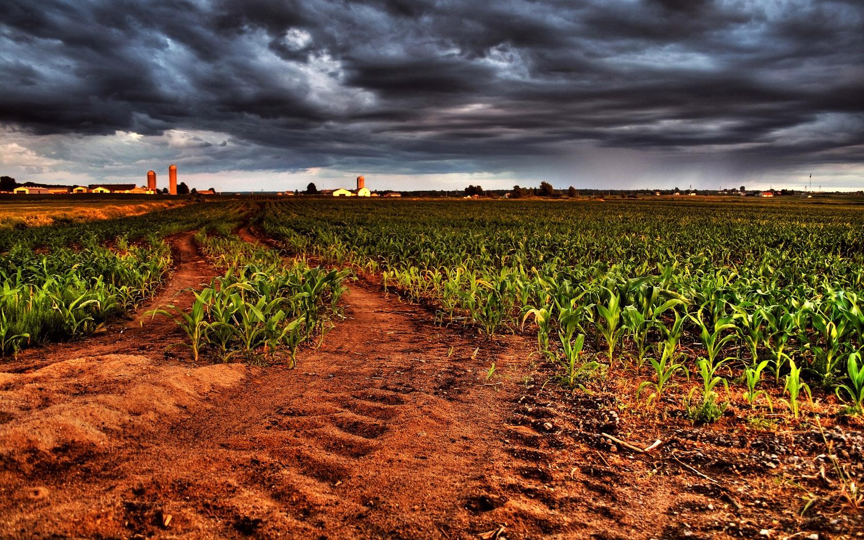 1680x1050 Agriculture Wallpaper
