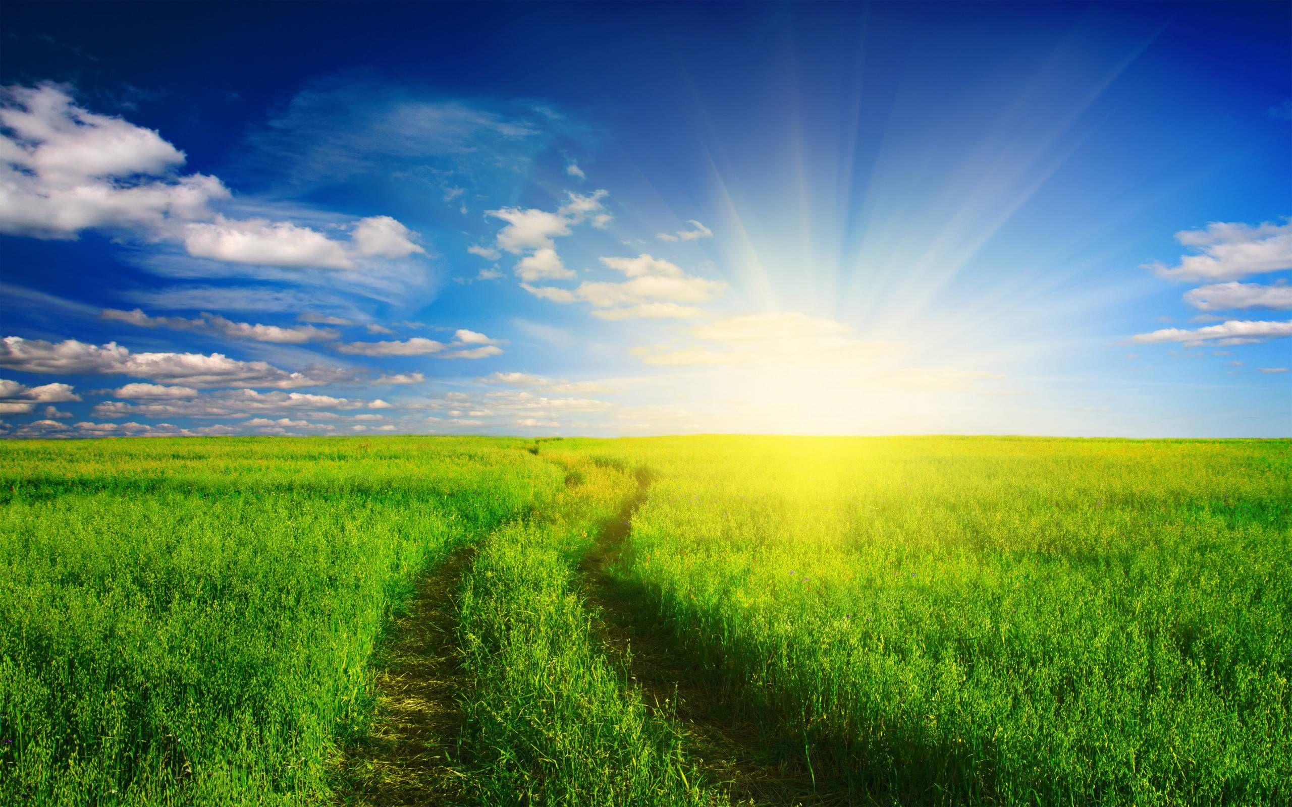 2560x1600 For Your Desktop: Agriculture Wallpaper, 42 Top Quality